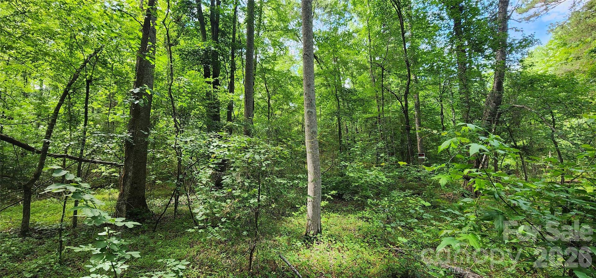 1811 Neelys Creek Road, Rock Hill, SC 29730 1811 Neelys Creek Road, Rock Hill, SC 29730
