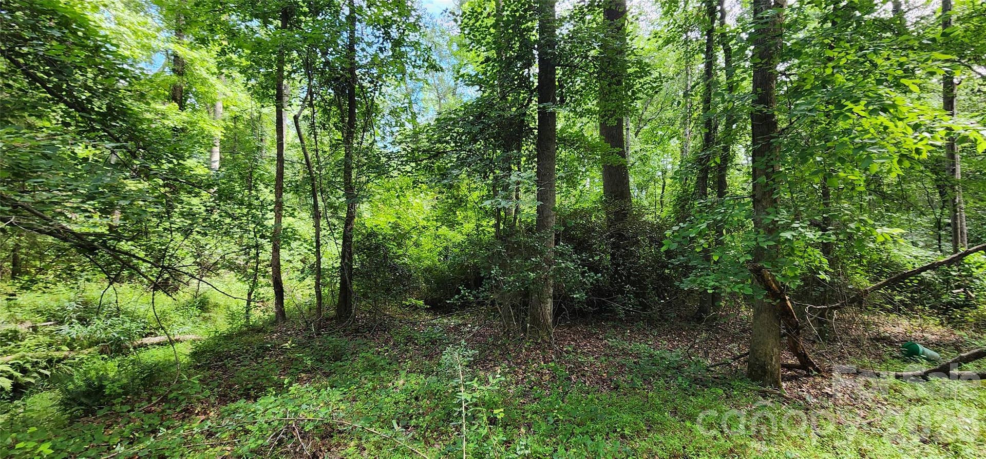 1811 Neelys Creek Road, Rock Hill, SC 29730 1811 Neelys Creek Road, Rock Hill, SC 29730
