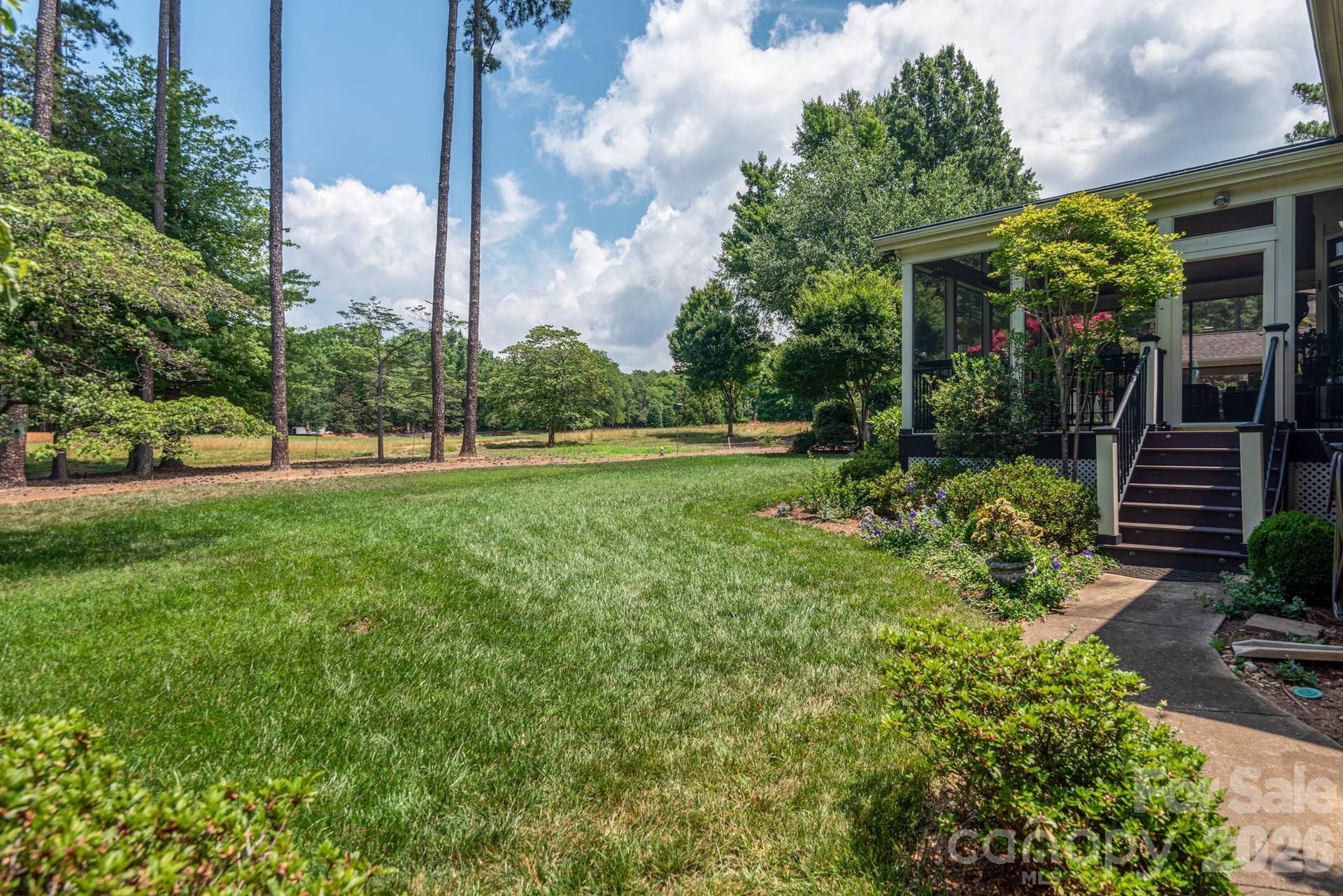 Rear yard
