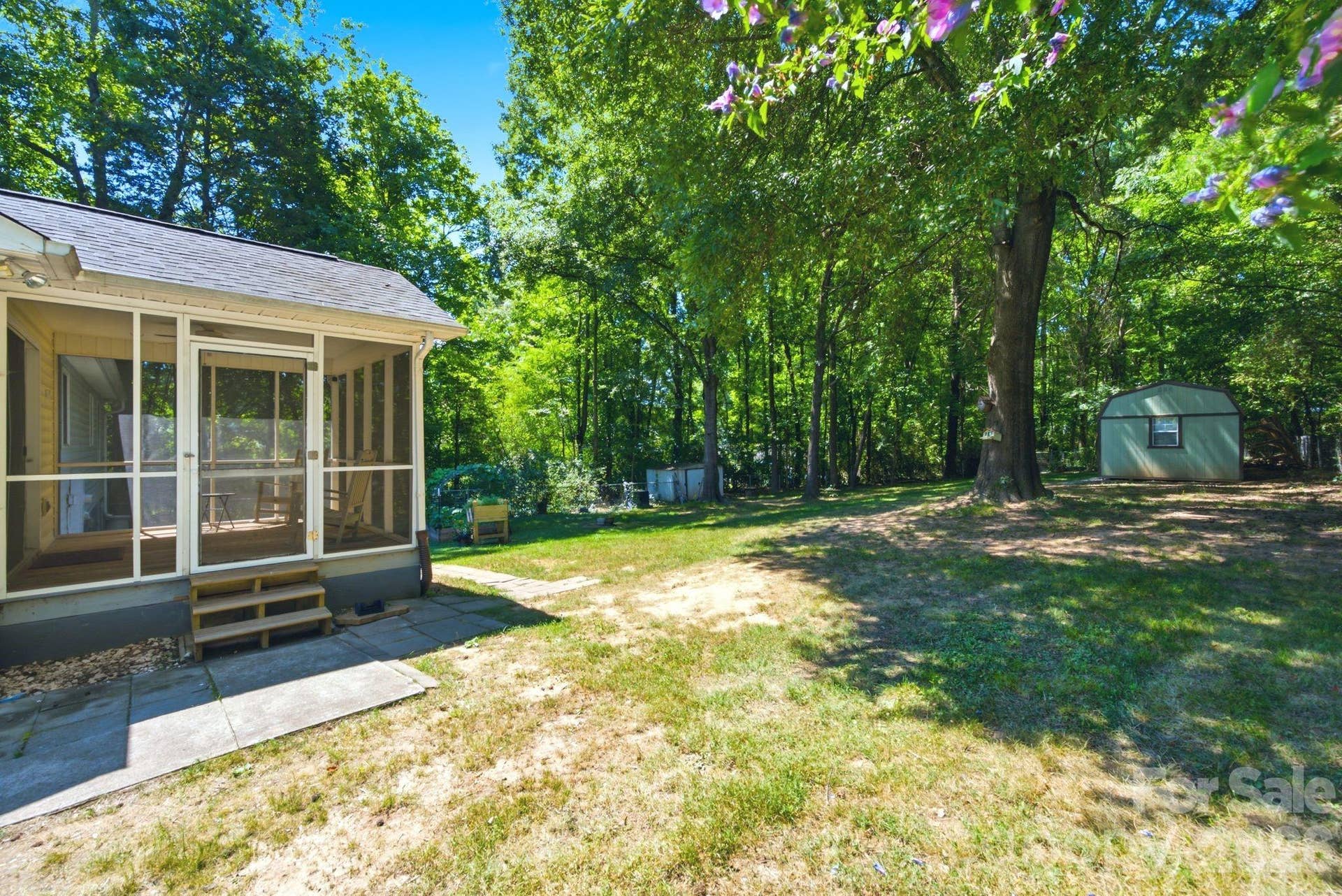 nice yard