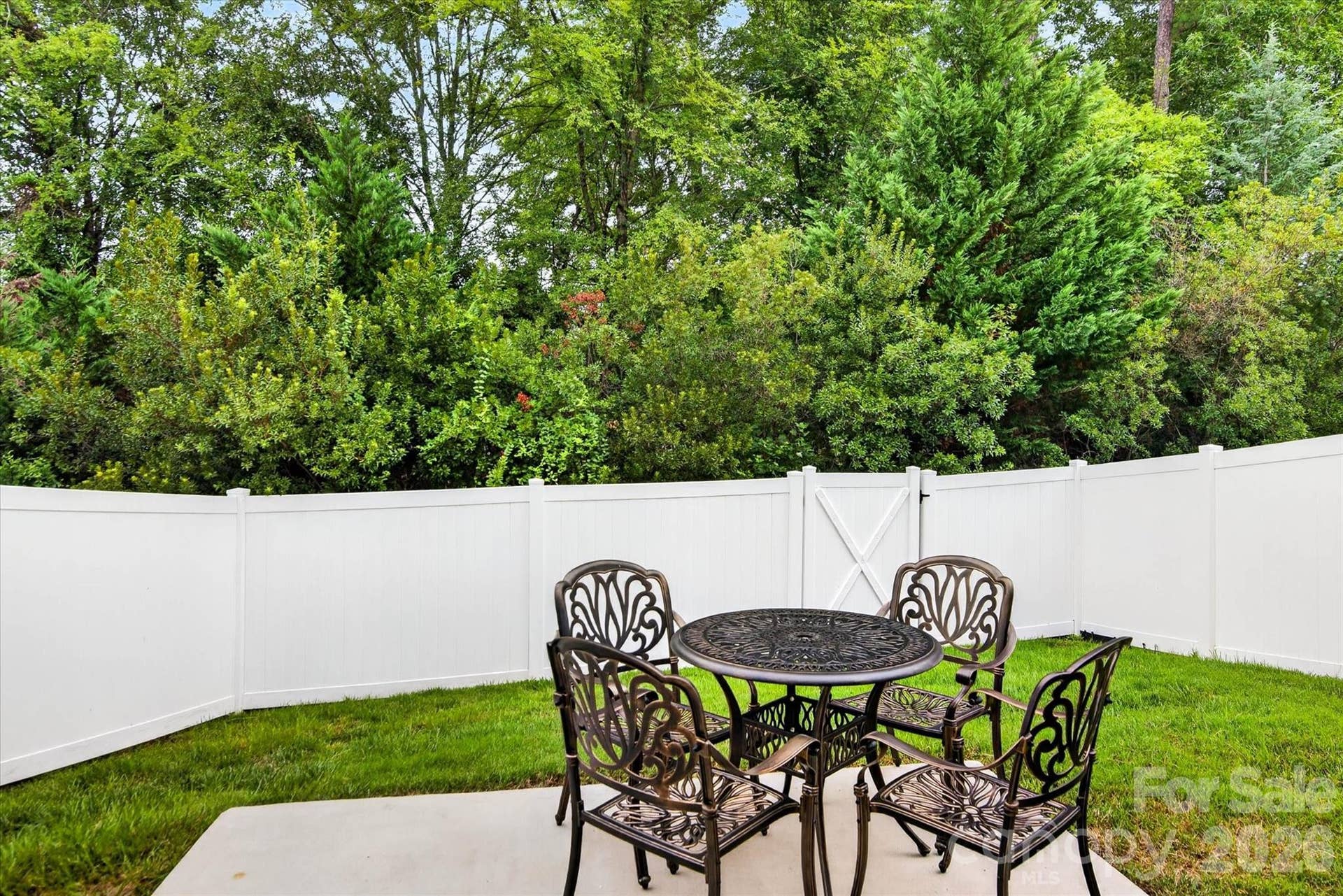 3153 Hartson Pointe Drive, Fort Mill, SC 29707