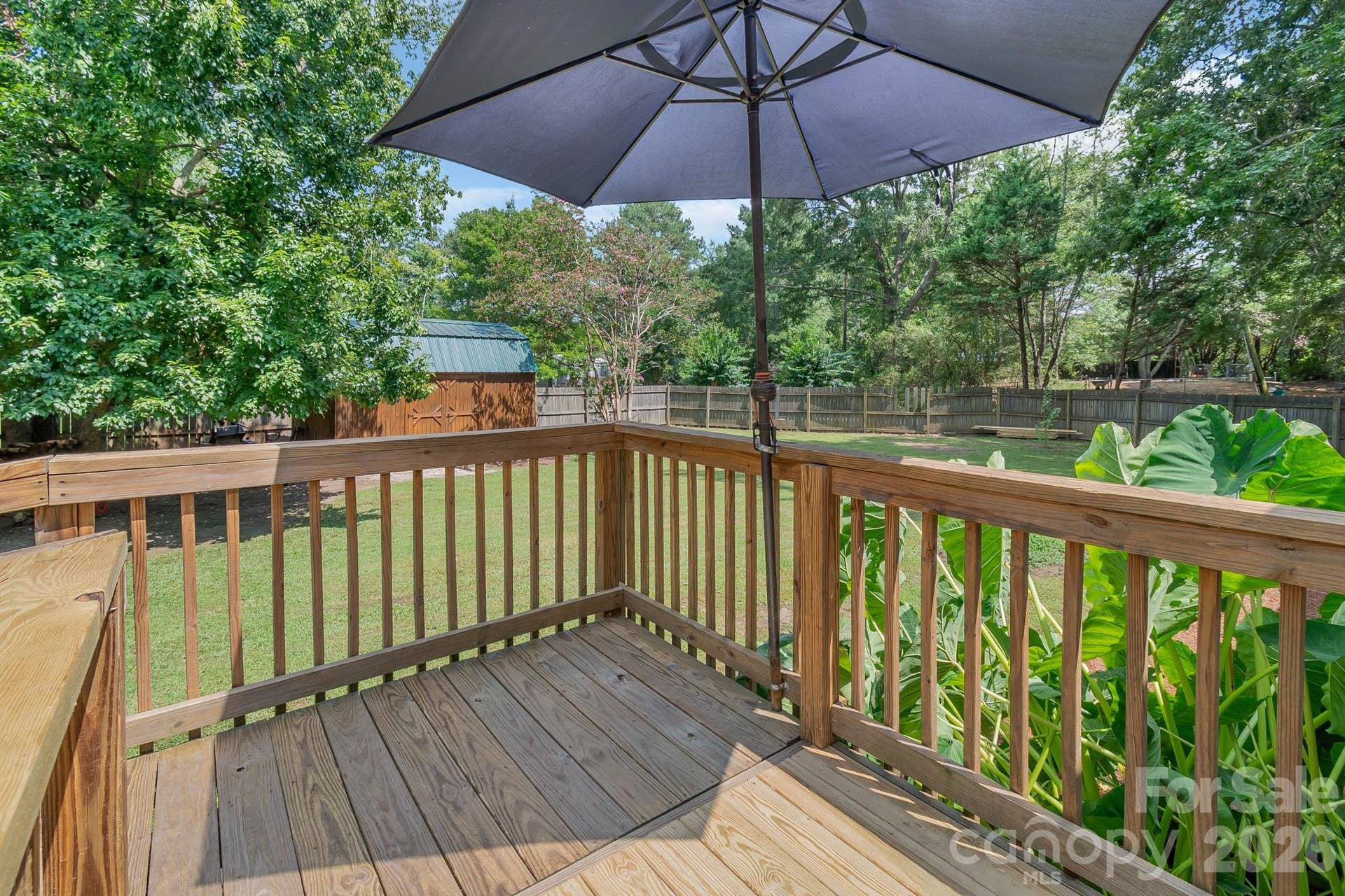 Back Deck