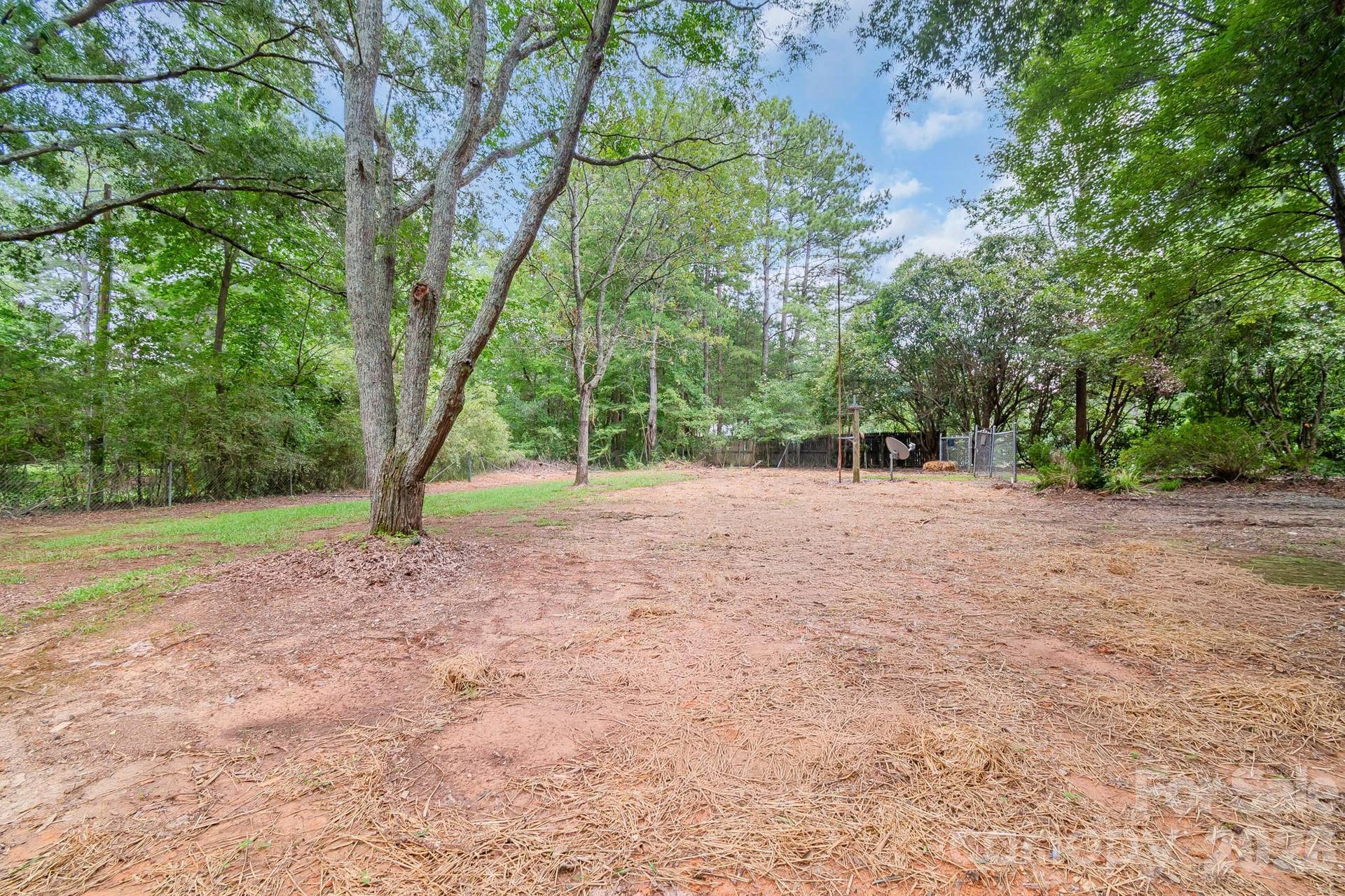 Cleared area of land