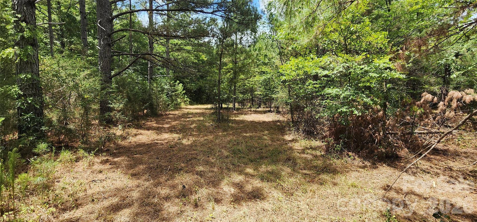 2597 Phil Grant Road, Rock Hill, SC 29730 Good soil area potential house site