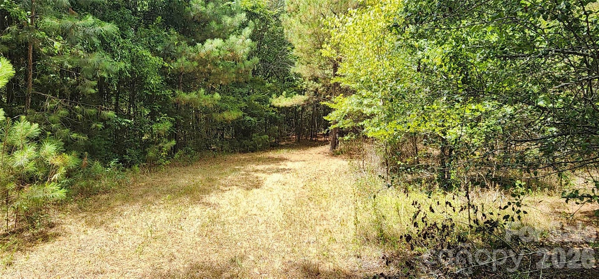 2597 Phil Grant Road, Rock Hill, SC 29730 Edge of field