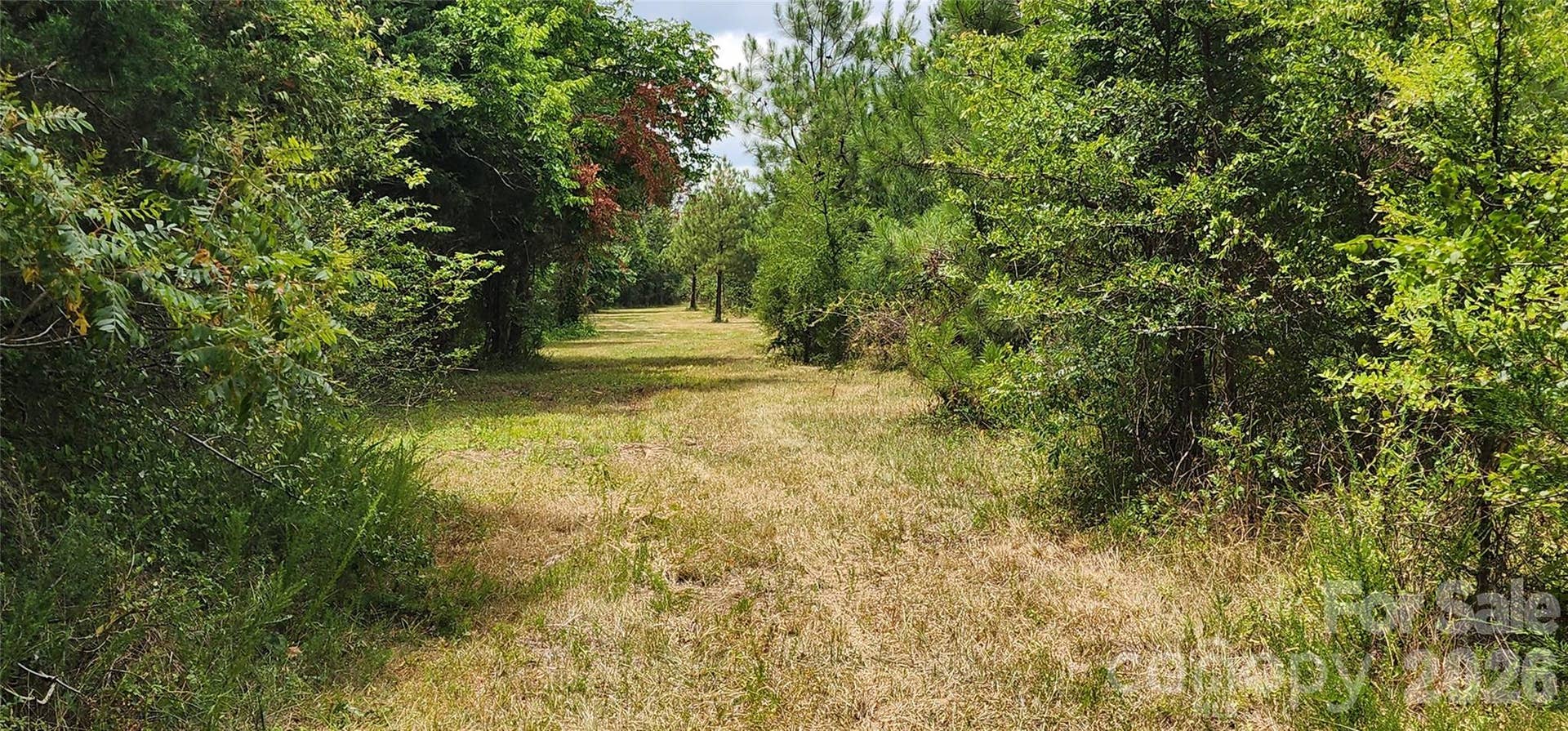 2597 Phil Grant Road, Rock Hill, SC 29730 York County pasture