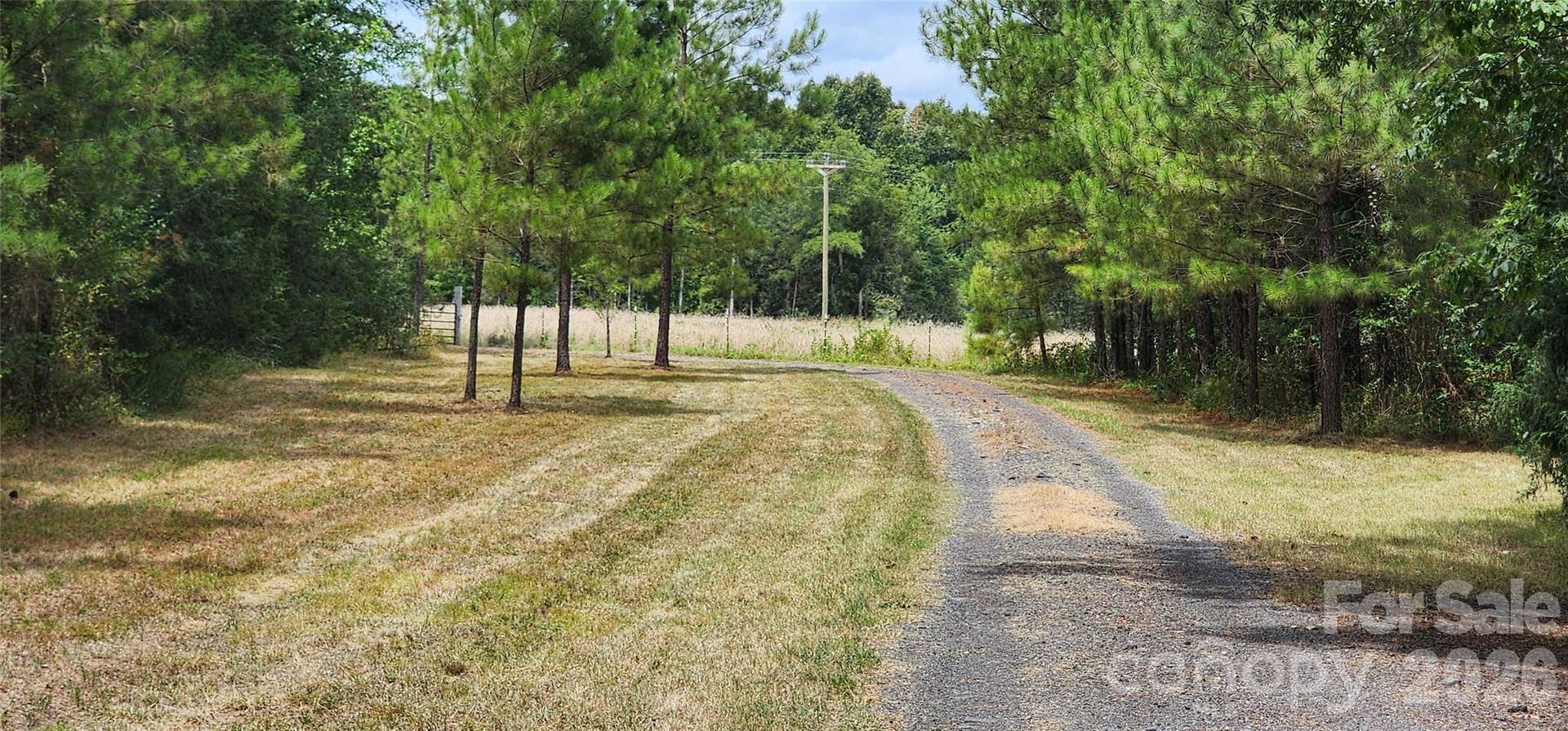 2597 Phil Grant Road, Rock Hill, SC 29730 View from driveway towards Phil Grant gate
