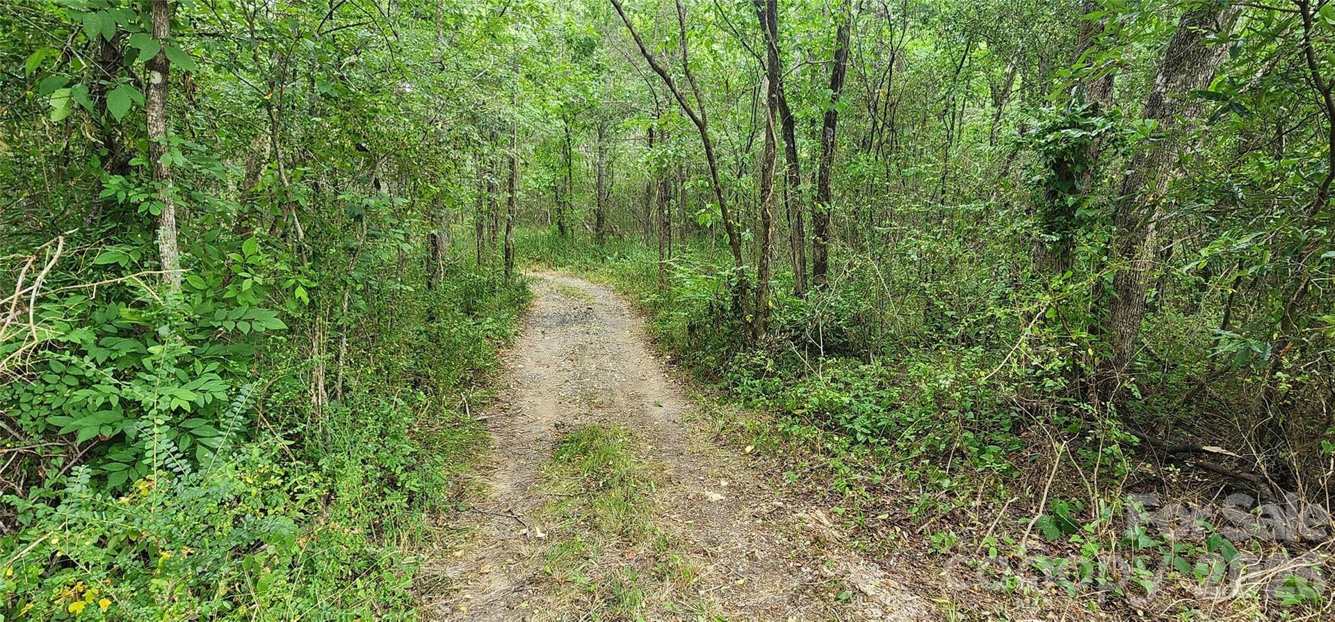 2597 Phil Grant Road, Rock Hill, SC 29730 Trail