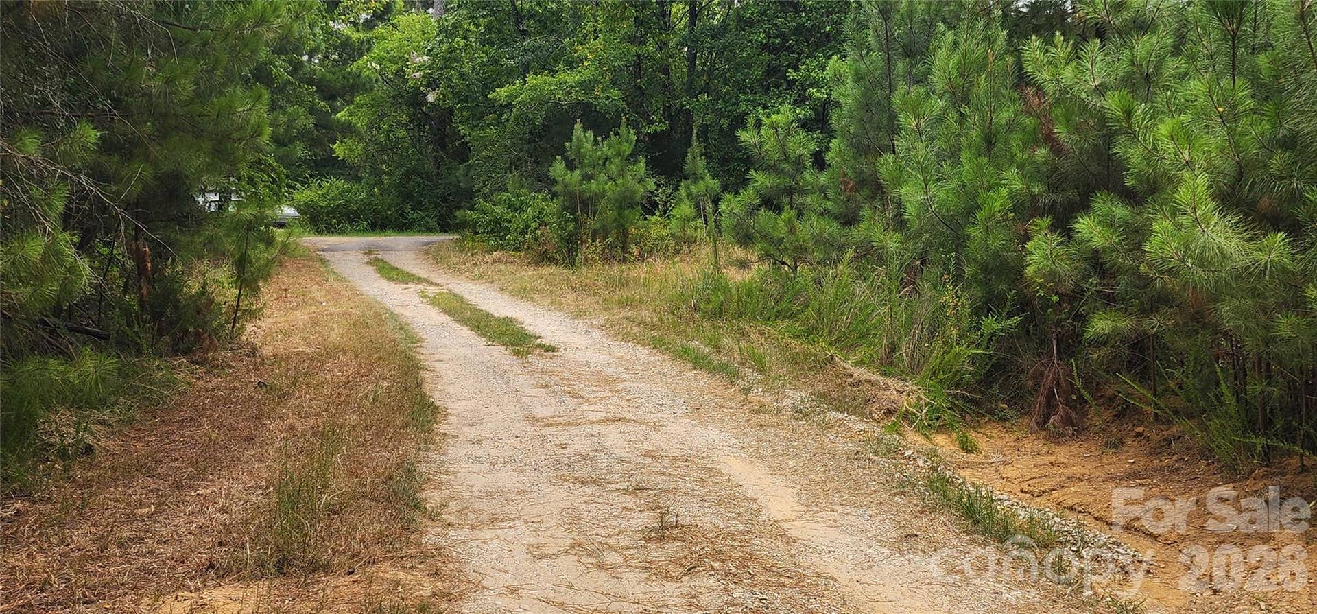 2597 Phil Grant Road, Rock Hill, SC 29730 driveway towards Pleazer Rd