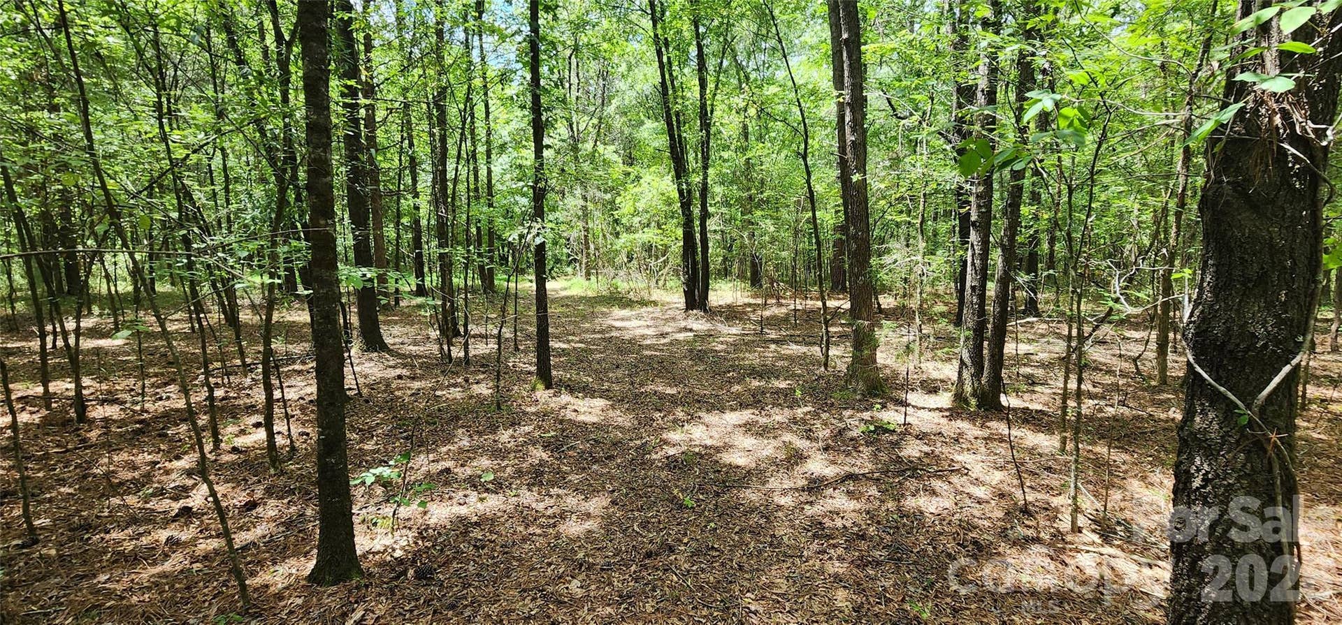 2597 Phil Grant Road, Rock Hill, SC 29730 2597 Phil Grant Road, Rock Hill, SC 29730