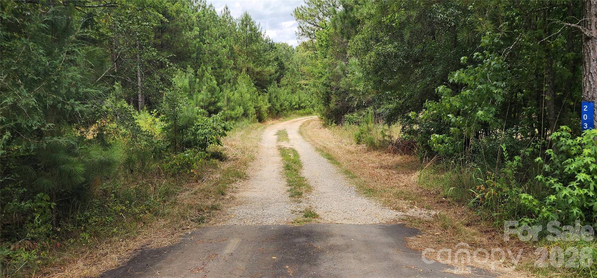 2597 Phil Grant Road, Rock Hill, SC 29730 Pleazer Rd driveway