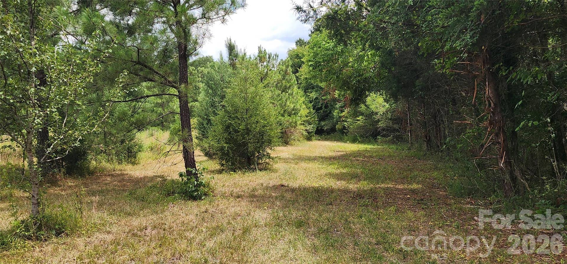 2597 Phil Grant Road, Rock Hill, SC 29730 field view