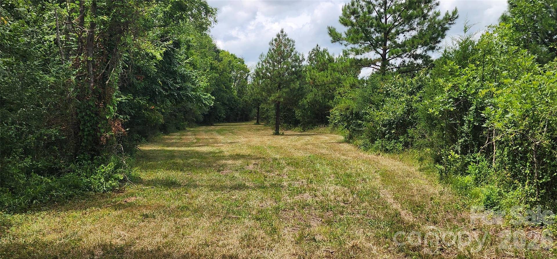 2597 Phil Grant Road, Rock Hill, SC 29730 York County pasture side