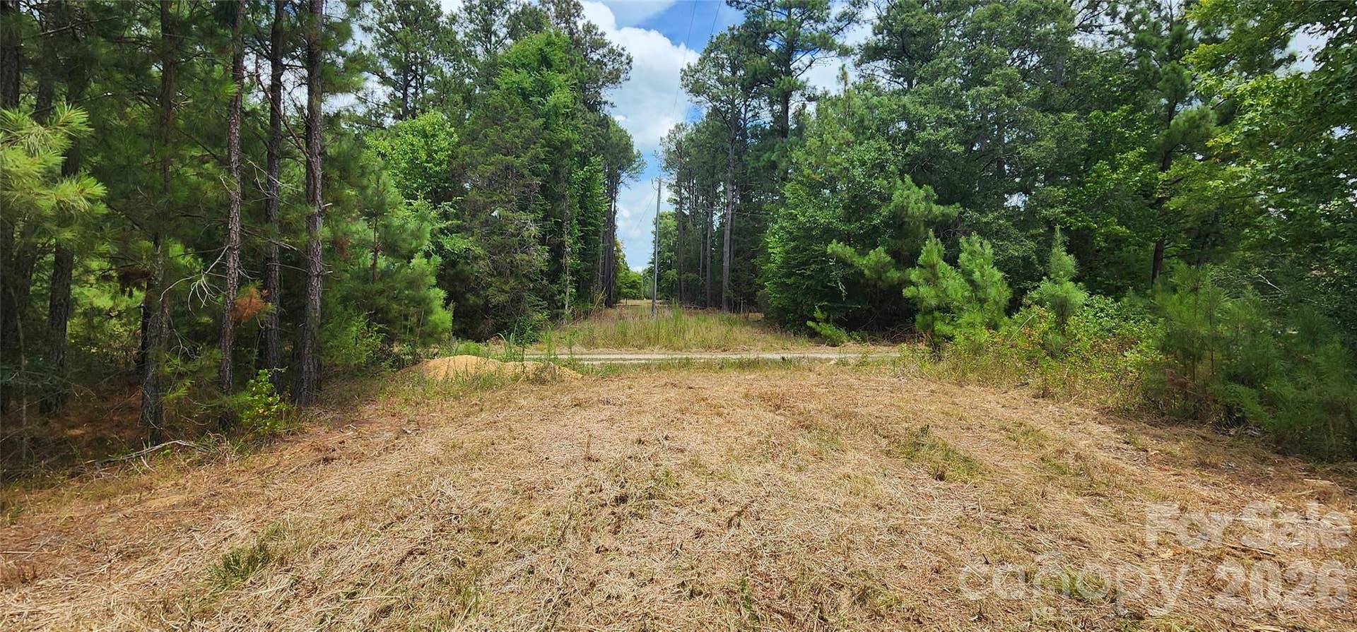 2597 Phil Grant Road, Rock Hill, SC 29730 power line near Pleazer Rd