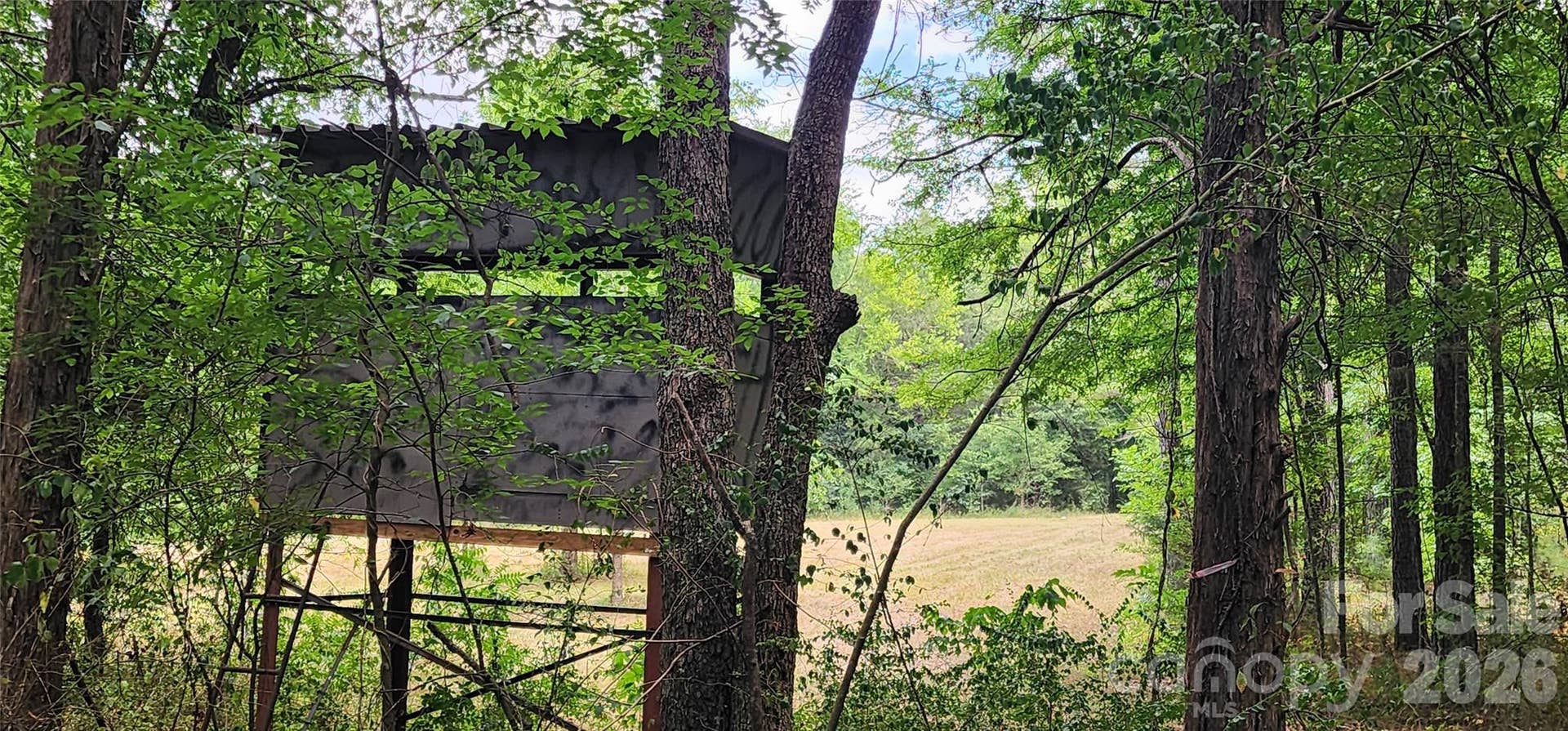 2597 Phil Grant Road, Rock Hill, SC 29730 deer stand overlooking middle field