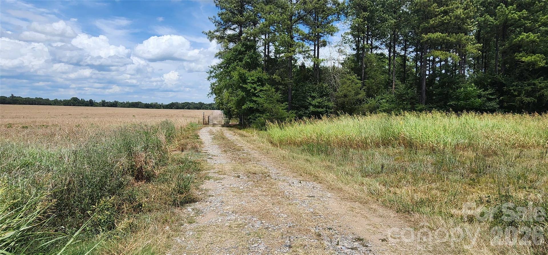 2597 Phil Grant Road, Rock Hill, SC 29730 Phil Grant easement entrance