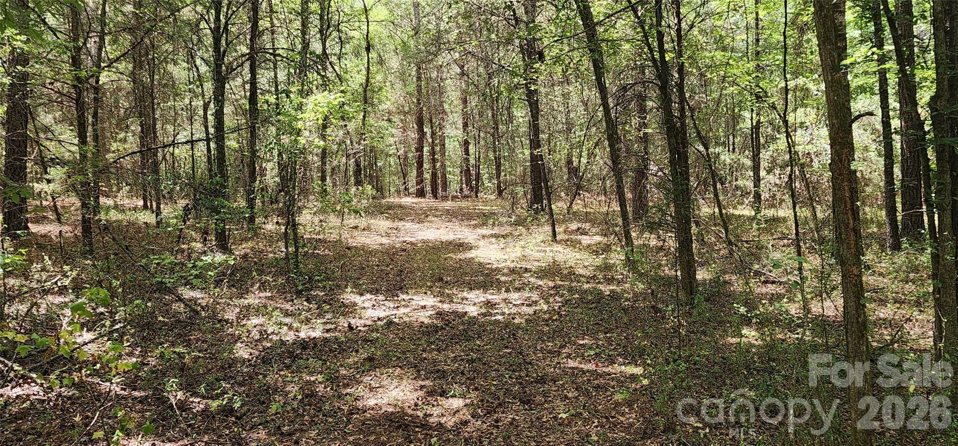 2597 Phil Grant Road, Rock Hill, SC 29730 trail