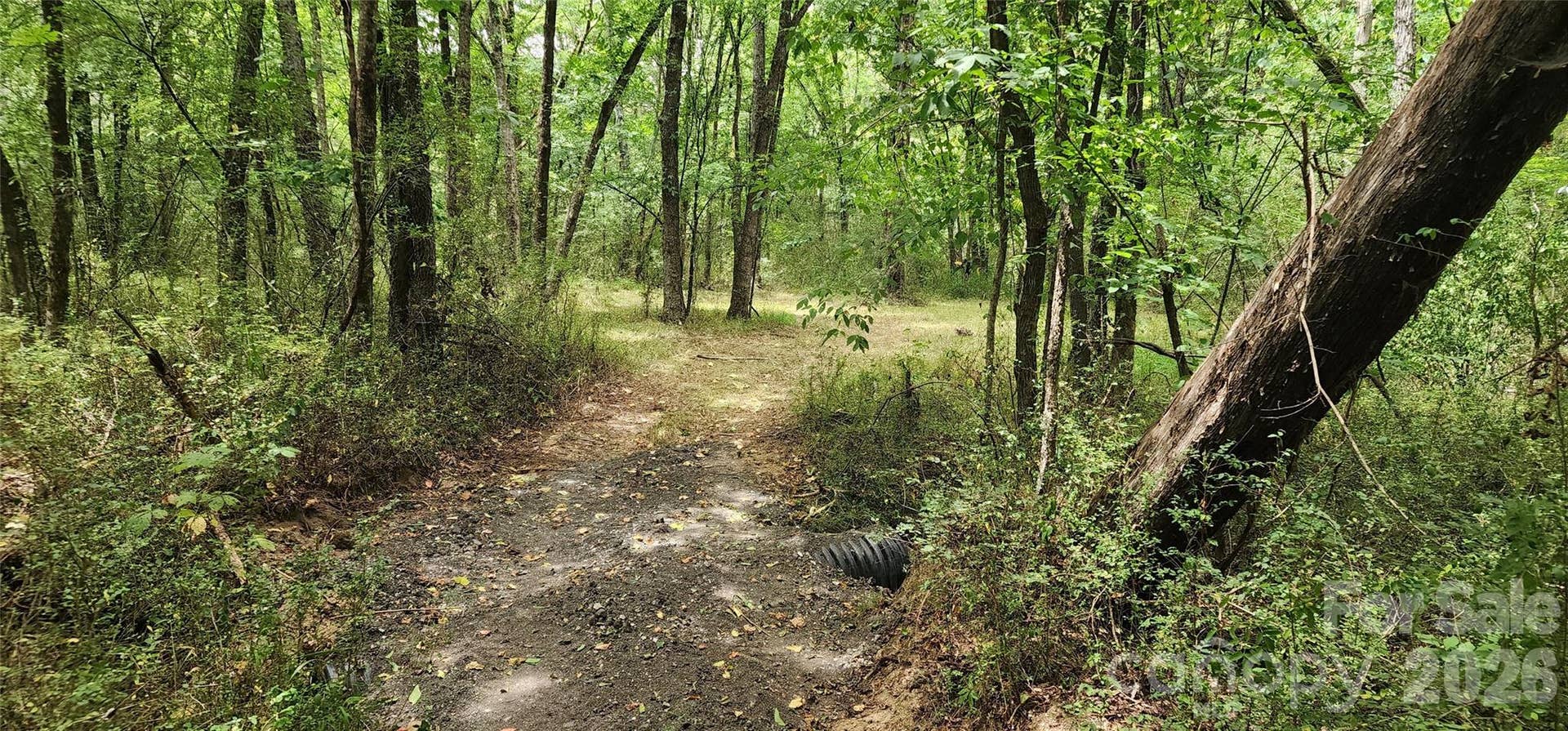2597 Phil Grant Road, Rock Hill, SC 29730 drainage pipe on trail