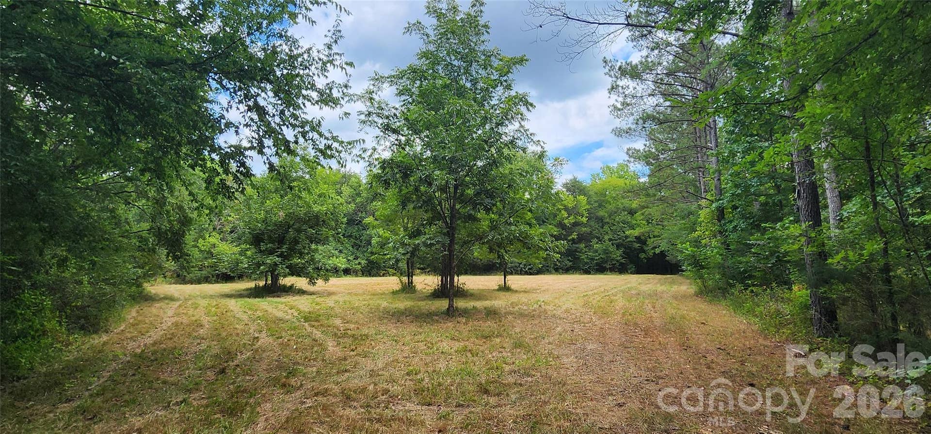 2597 Phil Grant Road, Rock Hill, SC 29730 middle field