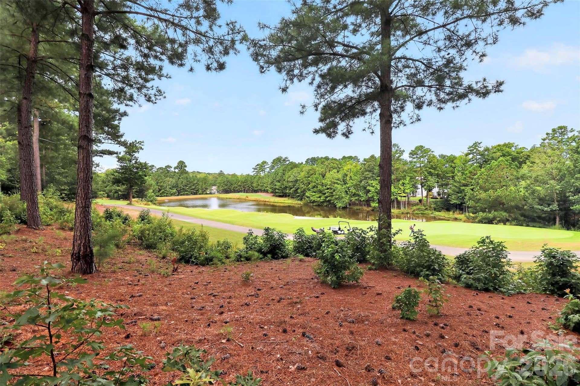 49108 Gladiolus Street, Fort Mill, SC 29707 49108 Gladiolus Street, Fort Mill, SC 29707