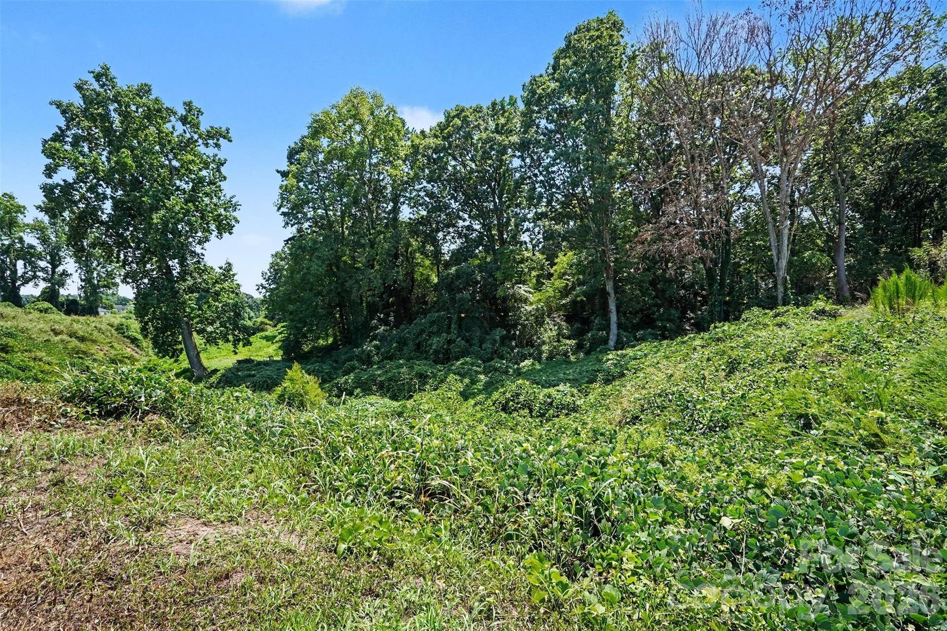 415 White Street, Gastonia, NC 28052 415 White Street, Gastonia, NC 28052