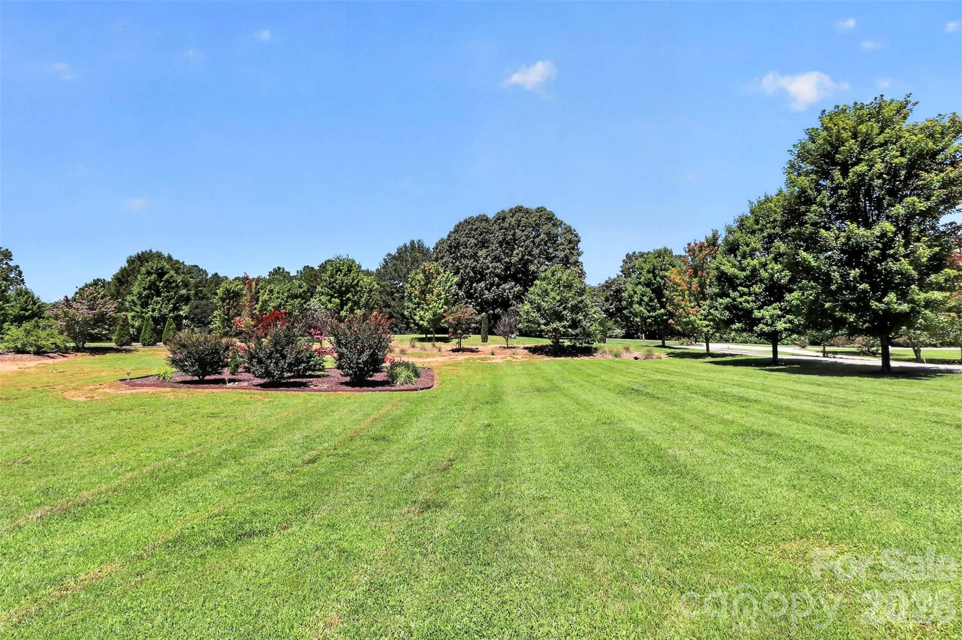 View from front porch