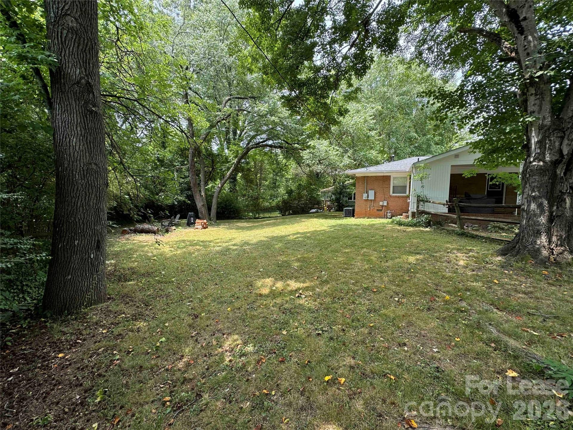 4400 Winedale Lane, Charlotte, NC 28205 Back yard