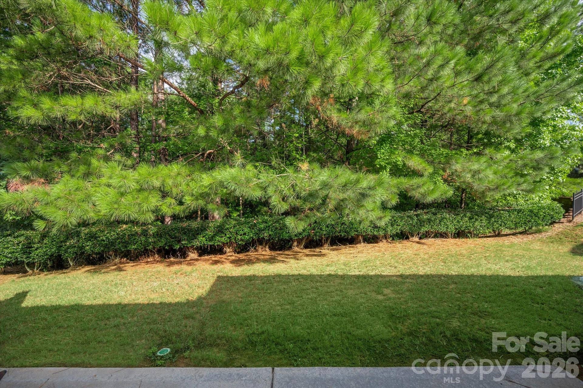 35168 Carnation Lane, Indian Land, SC 29707 35168 Carnation Lane, Indian Land, SC 29707