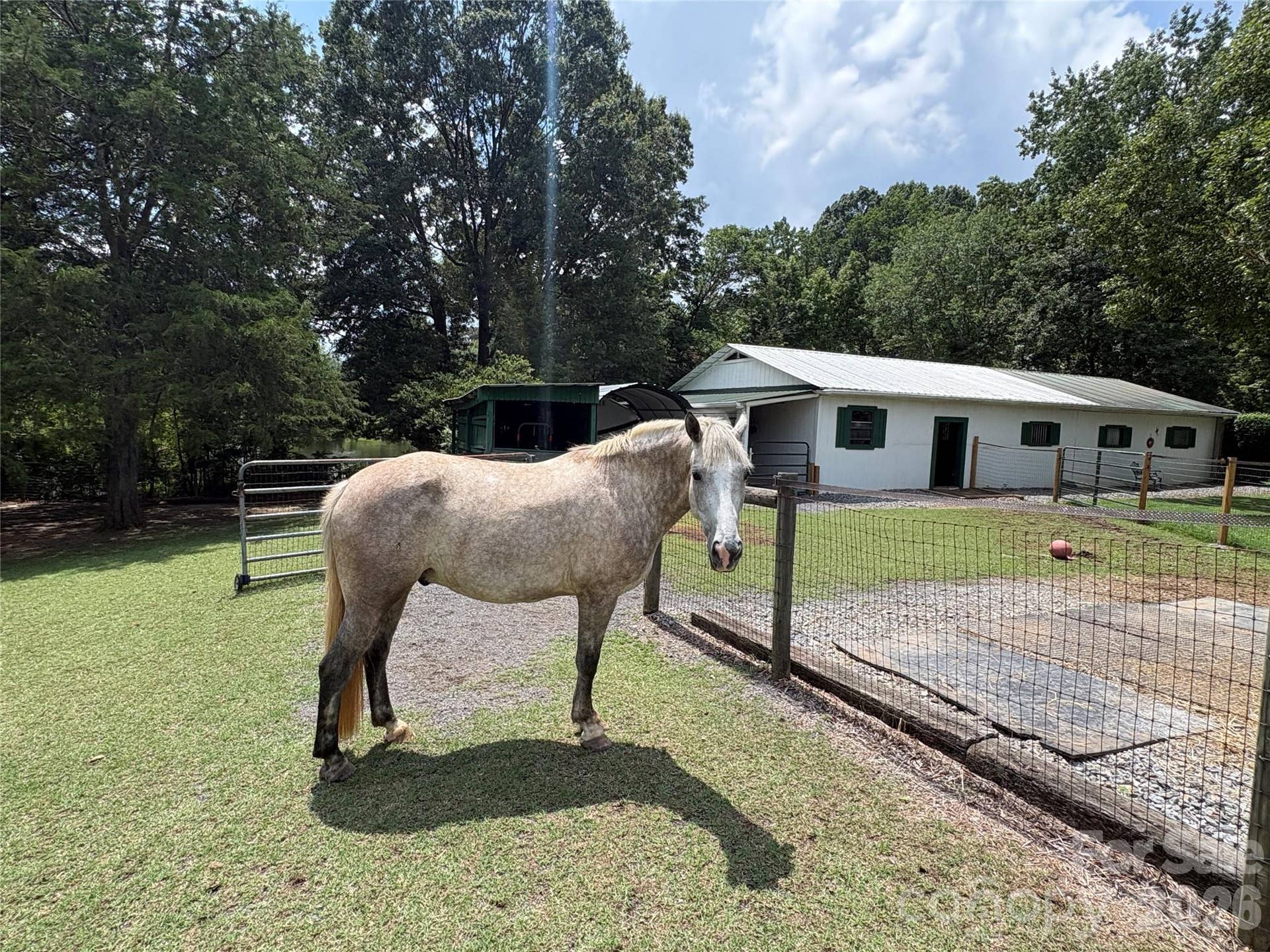 Move in ready for your horses and animals!