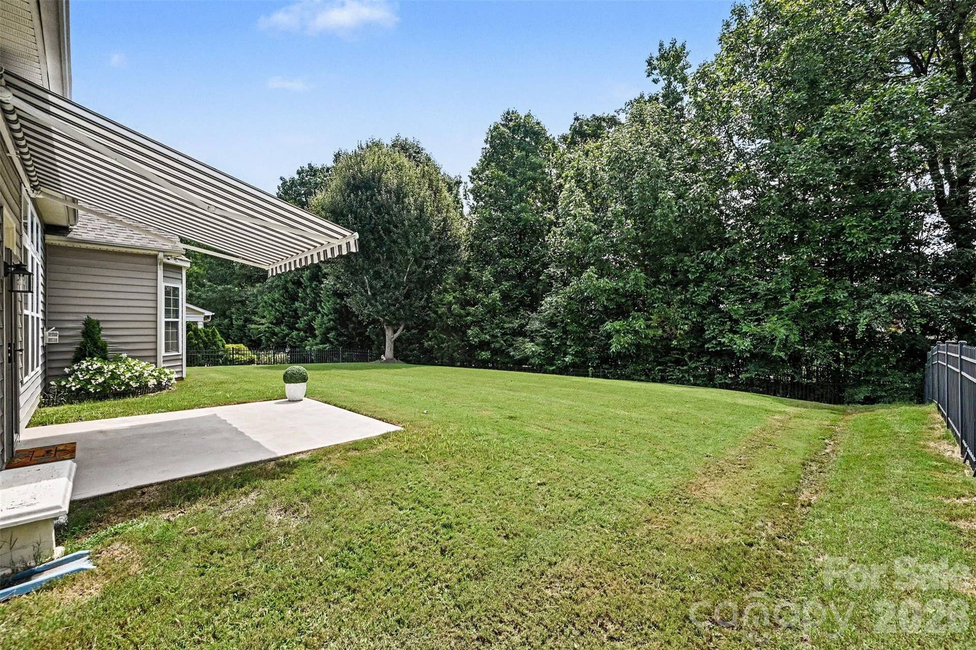 Backyard and patio