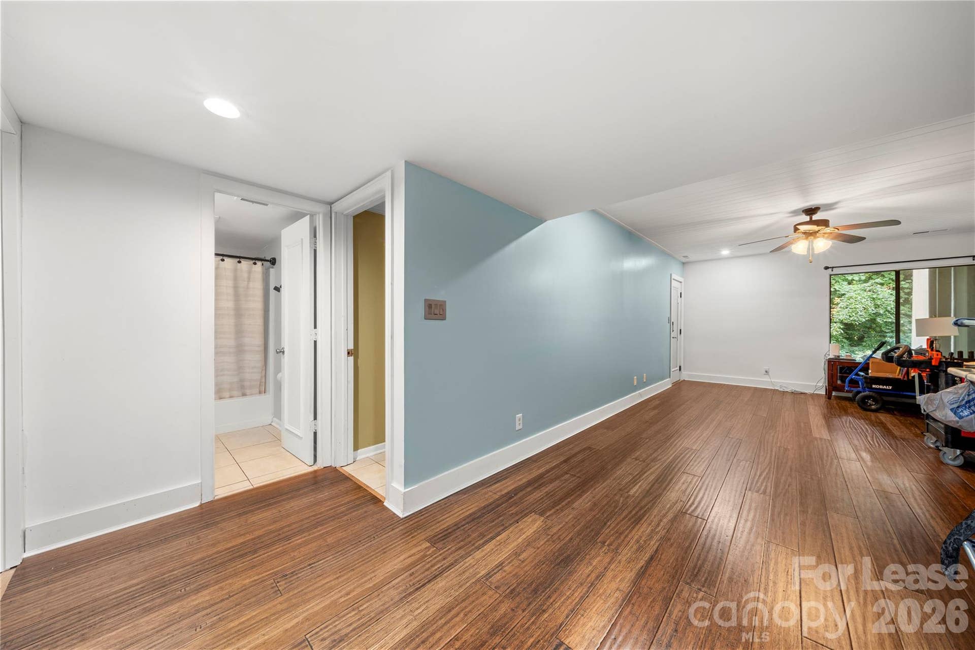222 Riverview Terrace, Lake Wylie, SC 29710 Bonus/Flex room (lower level)