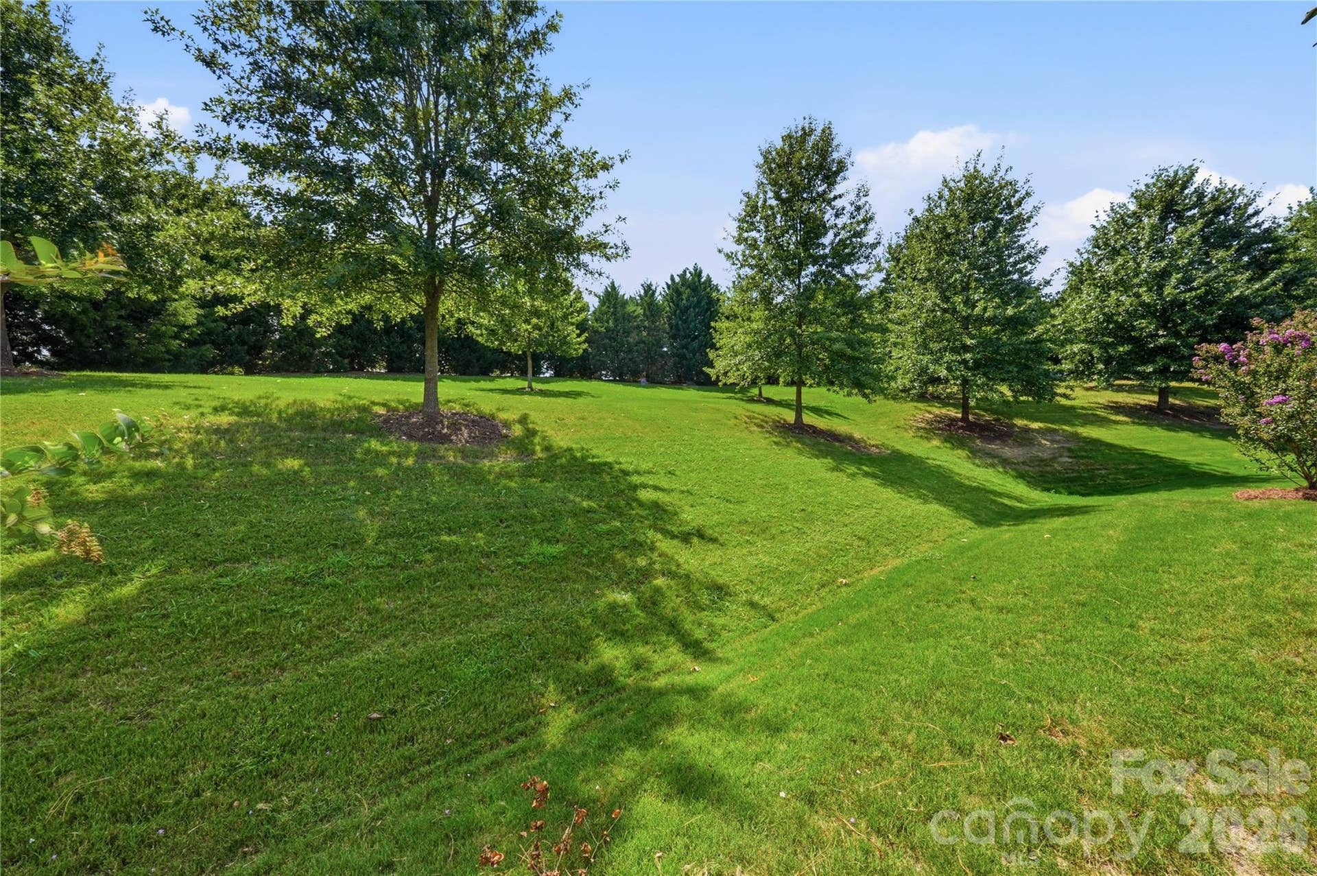 313 Harvest Valley Lane, Fort Mill, SC 29715 313 Harvest Valley Lane, Fort Mill, SC 29715