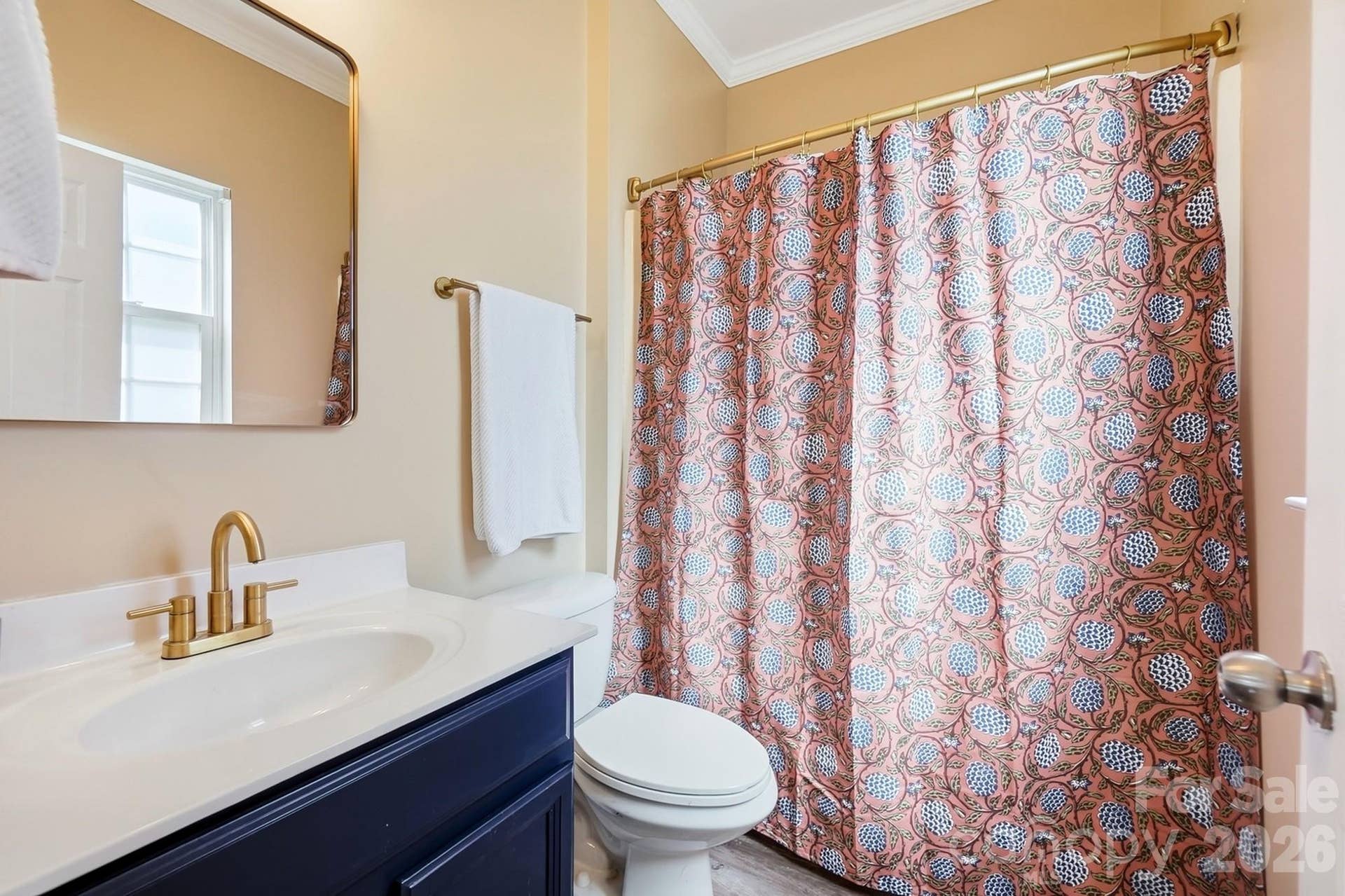 638 Reliance Court, Tega Cay, SC 29708