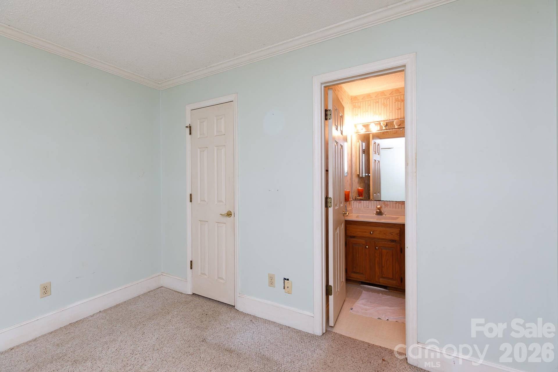 3550 Tree Line Drive, Rock Hill, SC 29732 Primary Bedroom with walk-in Closet