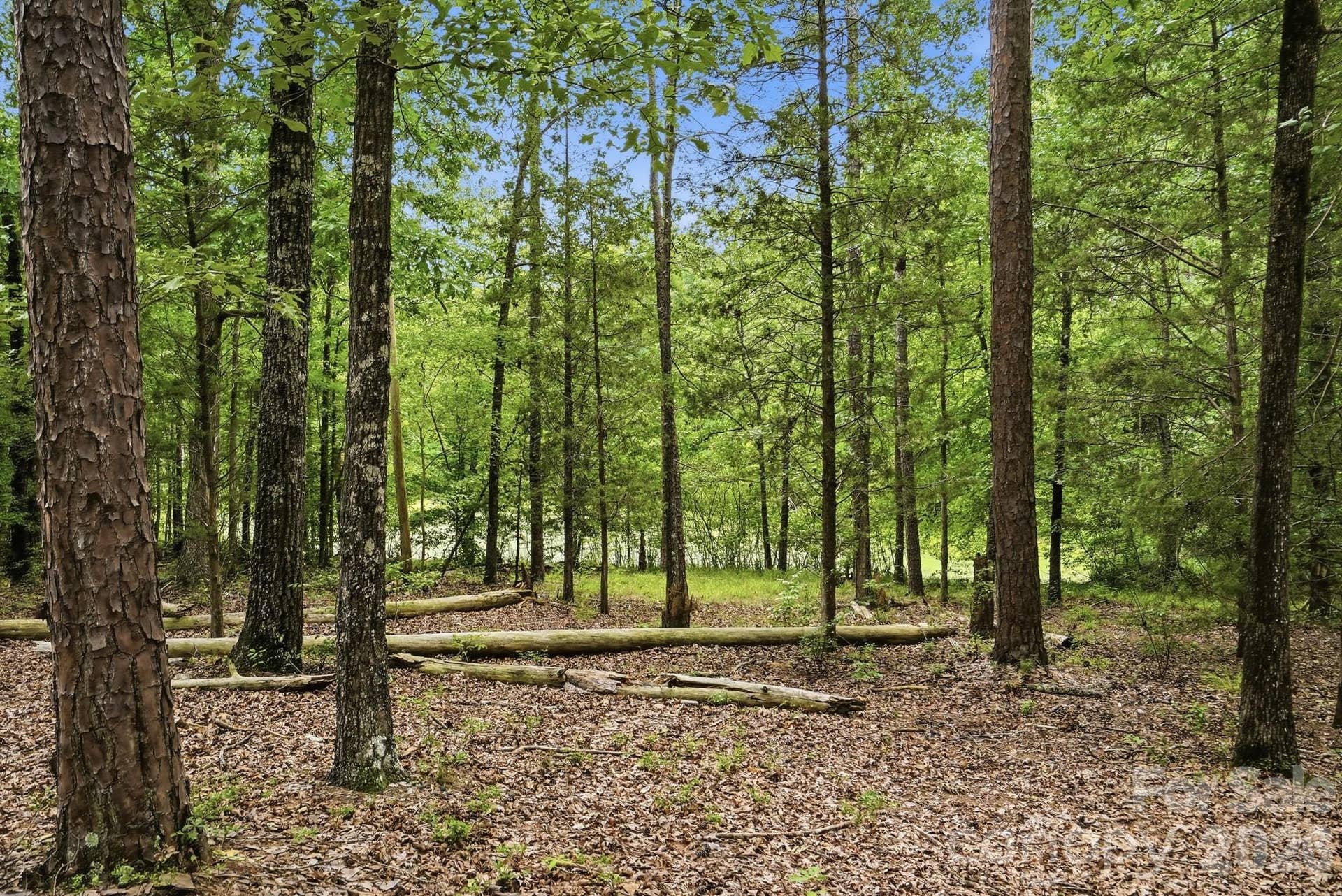 897 Community Lane, Lancaster, SC 29720 897 Community Lane, Lancaster, SC 29720