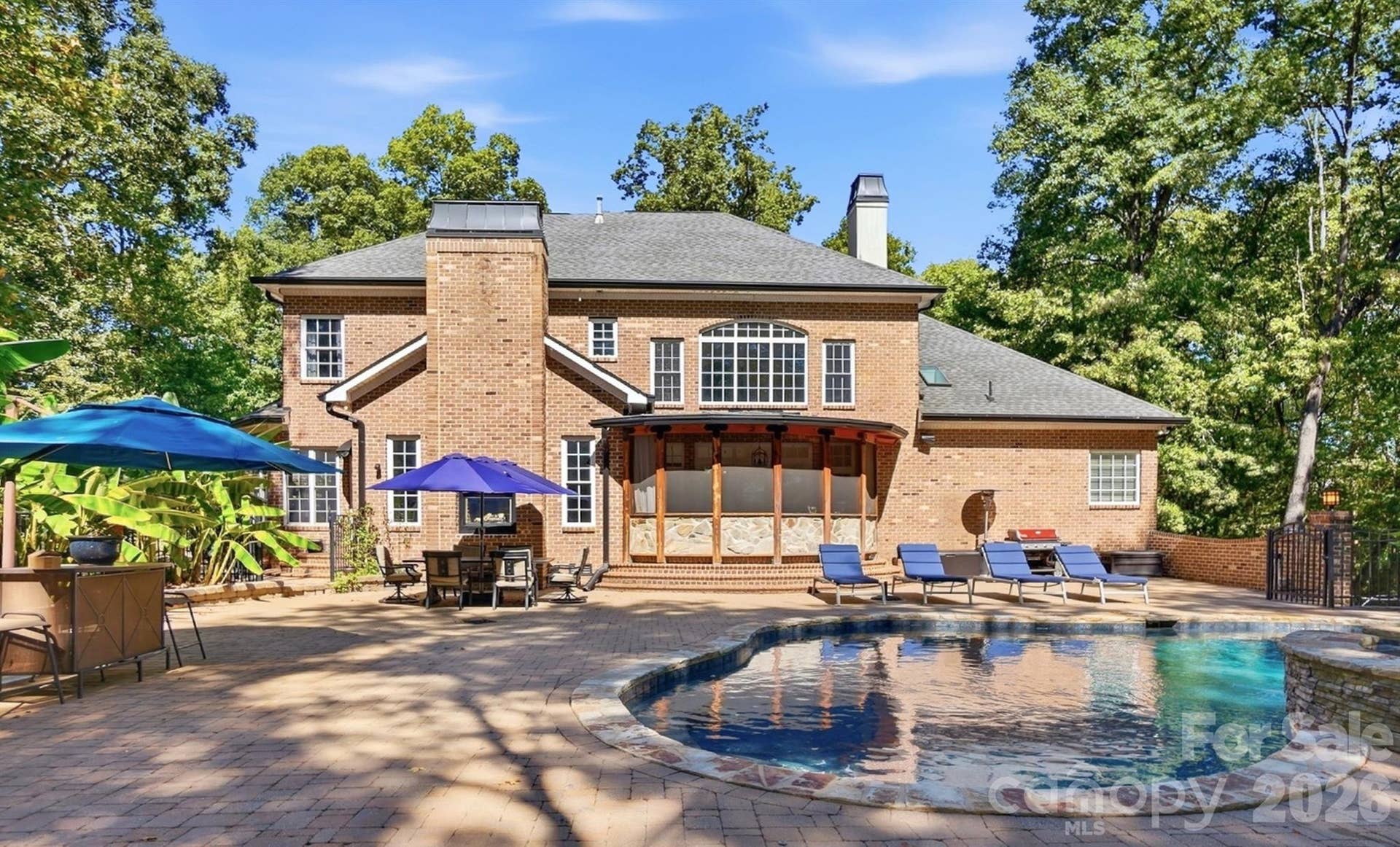 Backyard Oasis