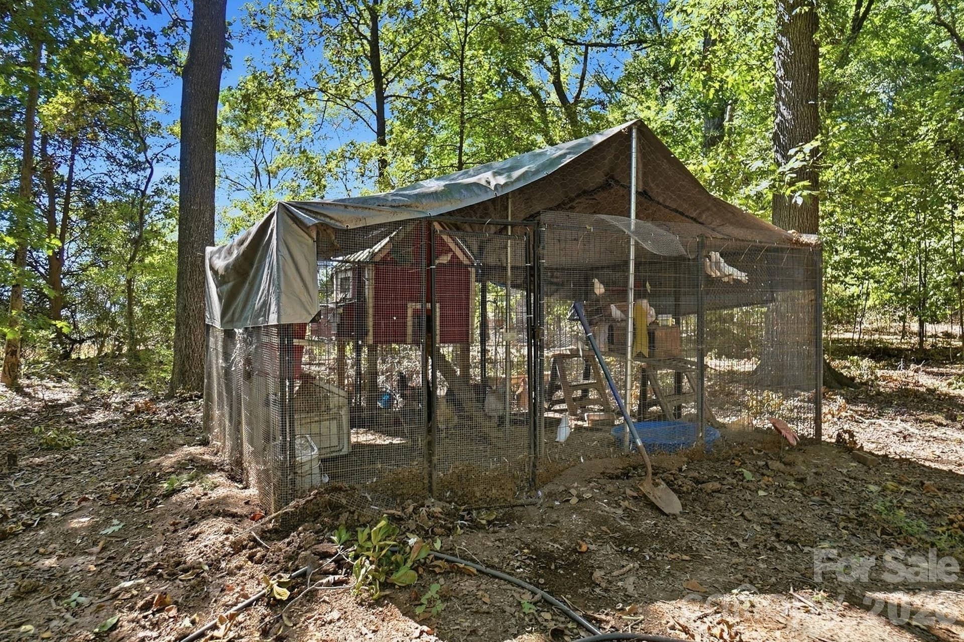Chicken/Bird Coop - Beyond the Fence