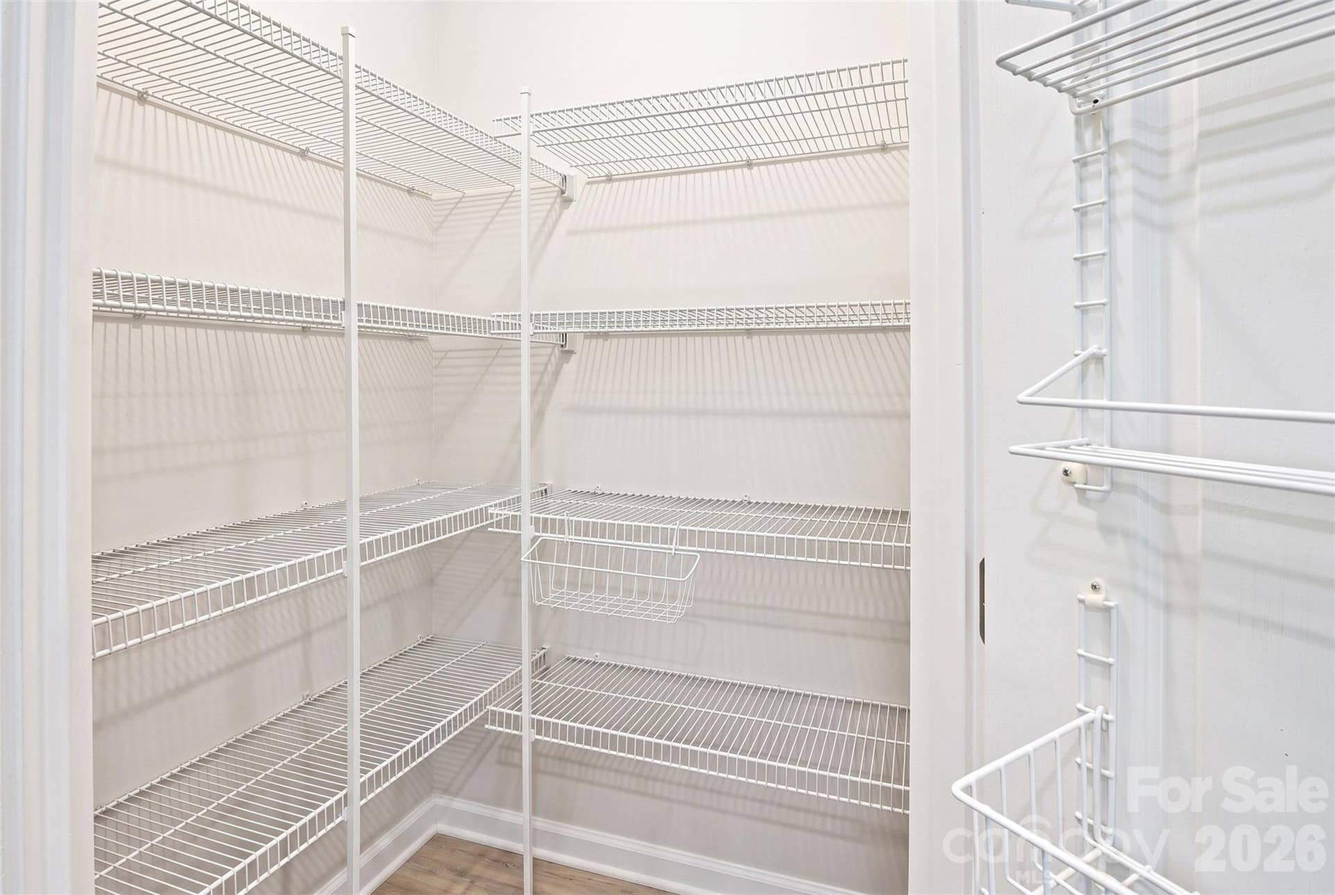 15704 Reynolds Drive, Indian Land, SC 29707 Big pantry