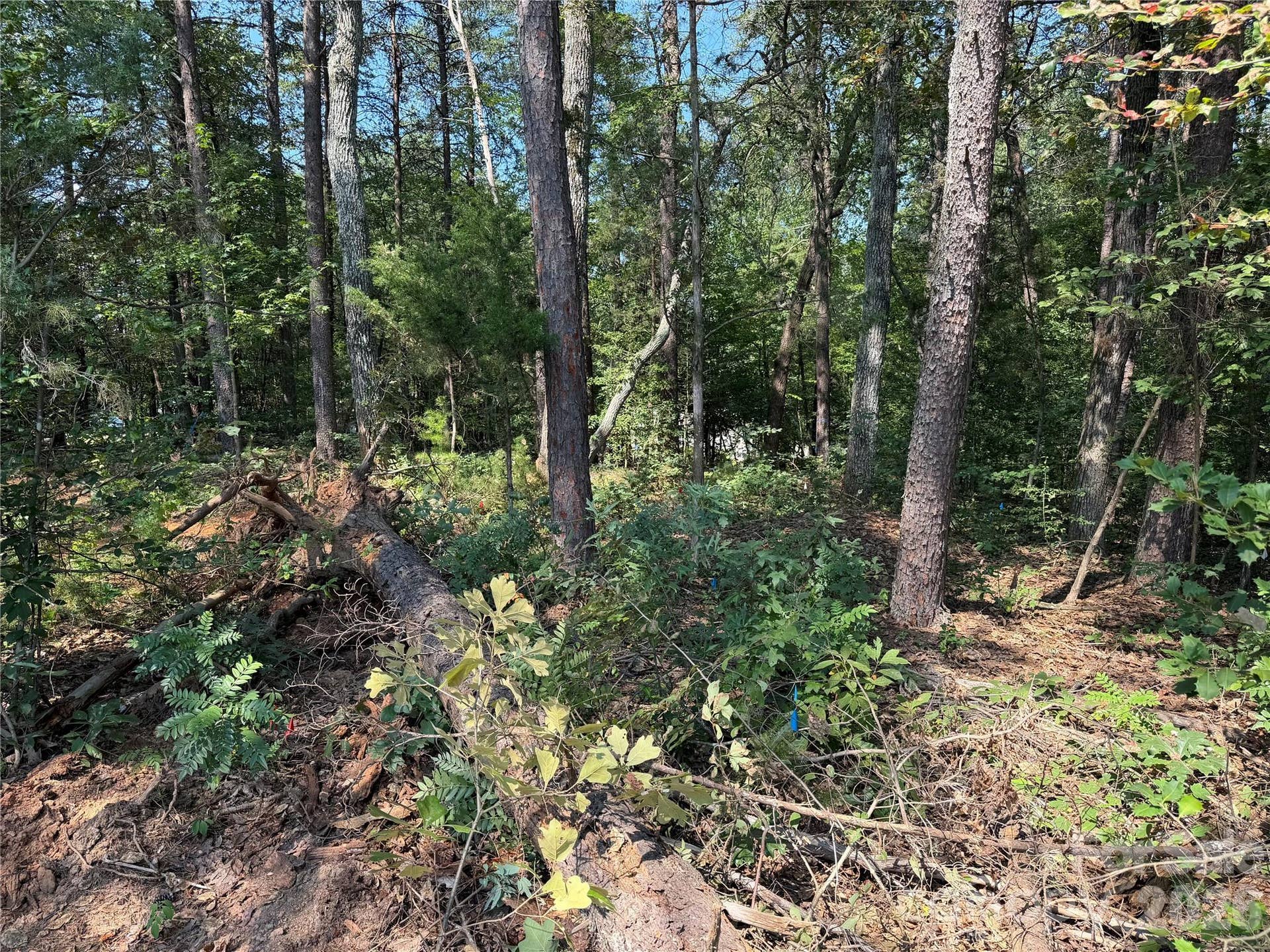 0 Katherine Drive, #182, Denver, NC 28037