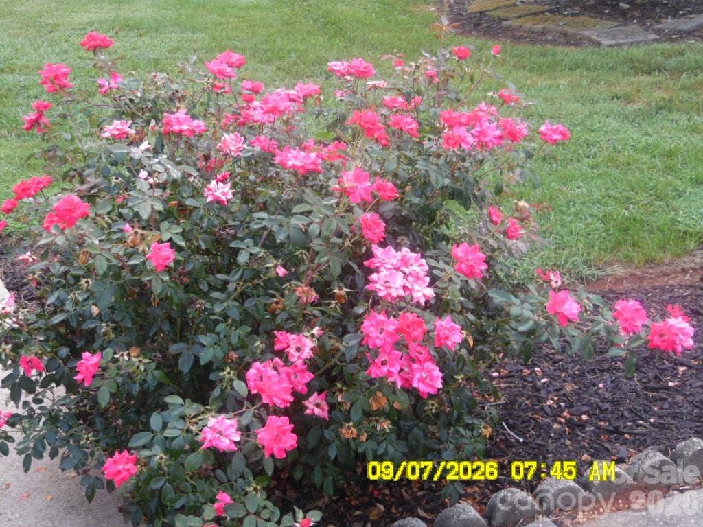 2525 Teague Street, Lincolnton, NC 28092 2525 Teague Street, Lincolnton, NC 28092