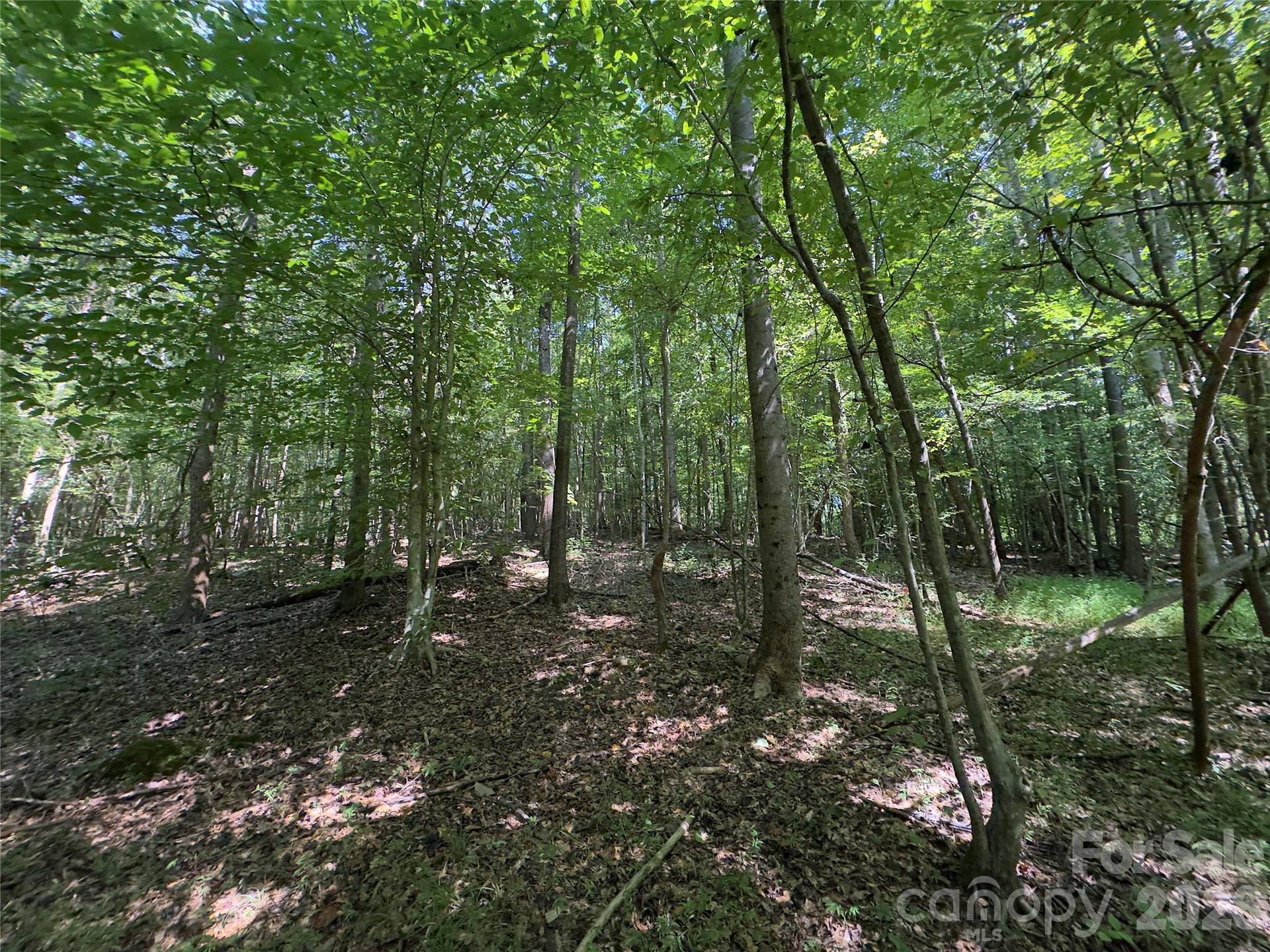 None Laboratory Road, Lincolnton, NC 28092