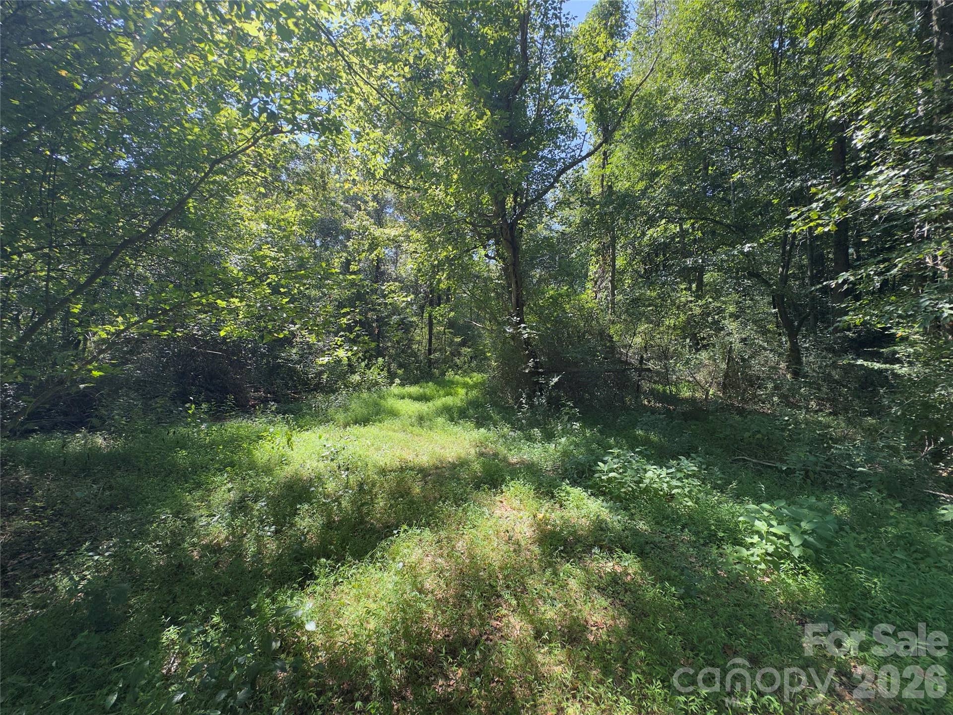None Laboratory Road, Lincolnton, NC 28092
