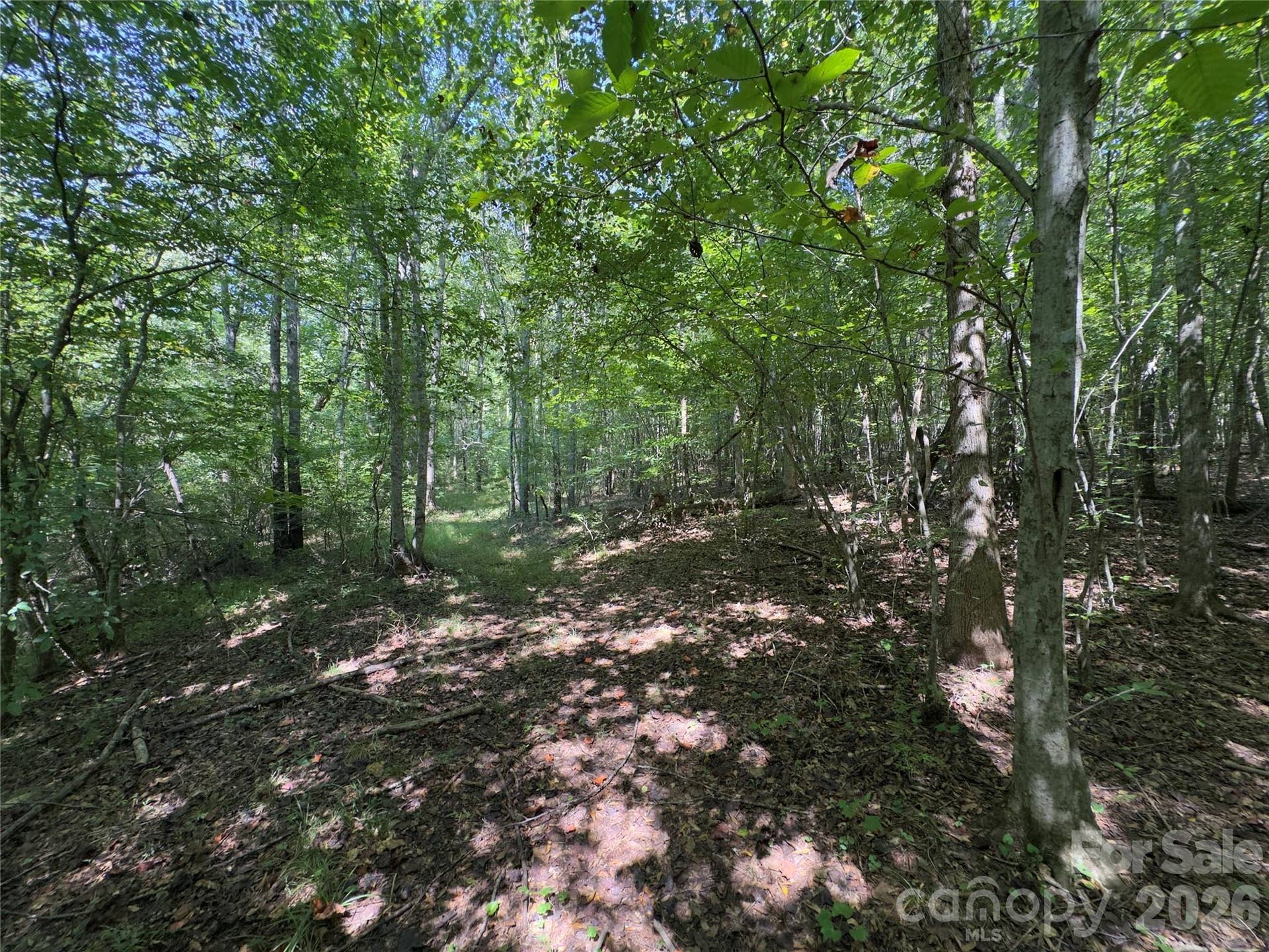None Laboratory Road, Lincolnton, NC 28092