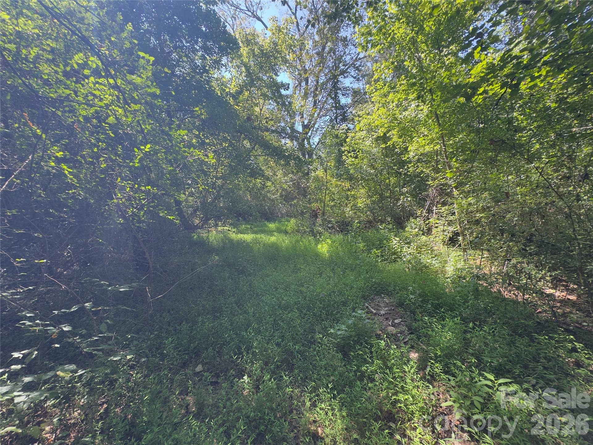 None Laboratory Road, Lincolnton, NC 28092