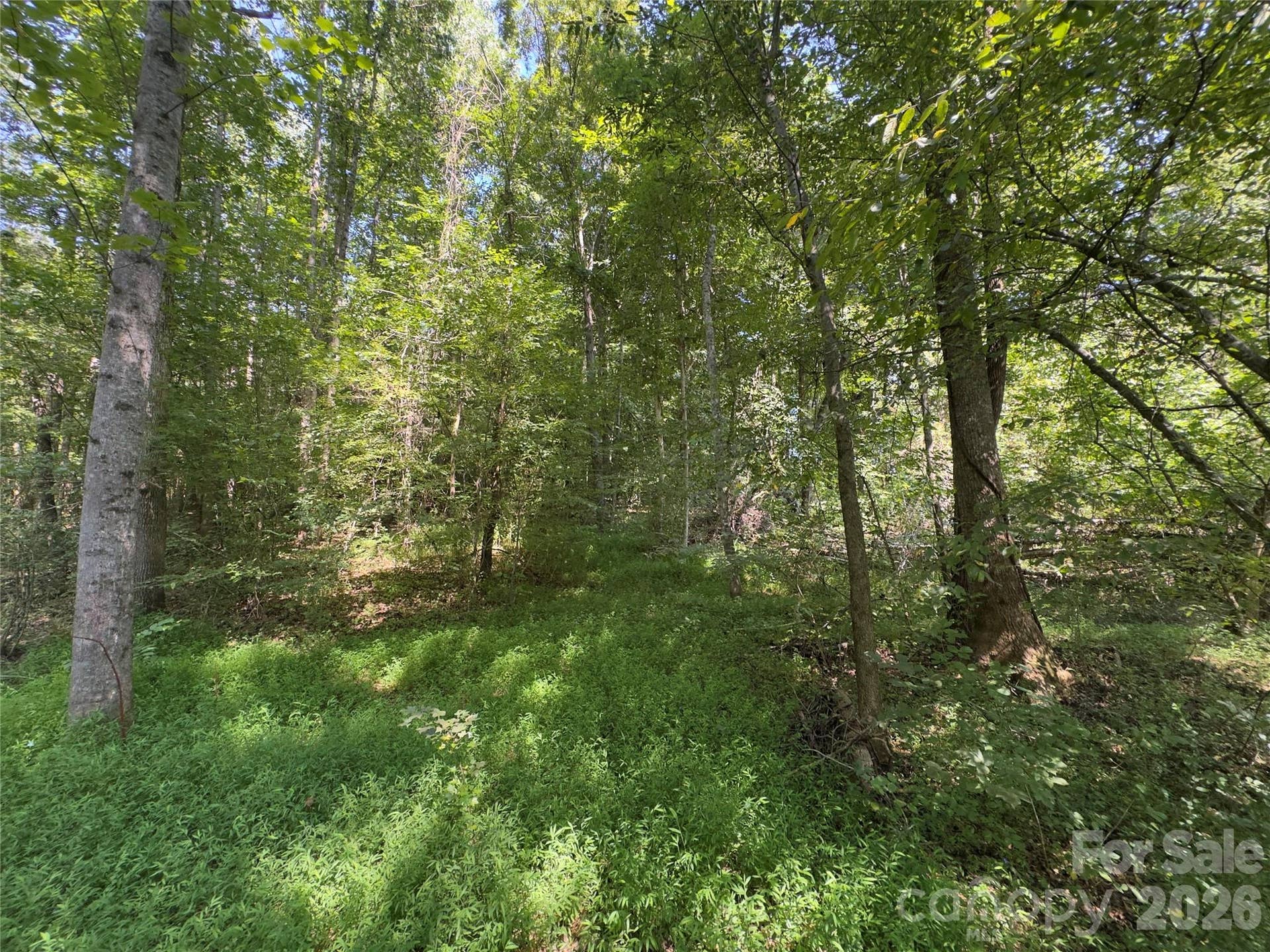None Laboratory Road, Lincolnton, NC 28092