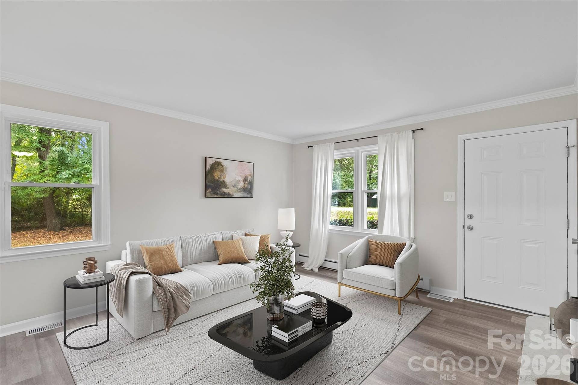 Virtually Staged Living Room