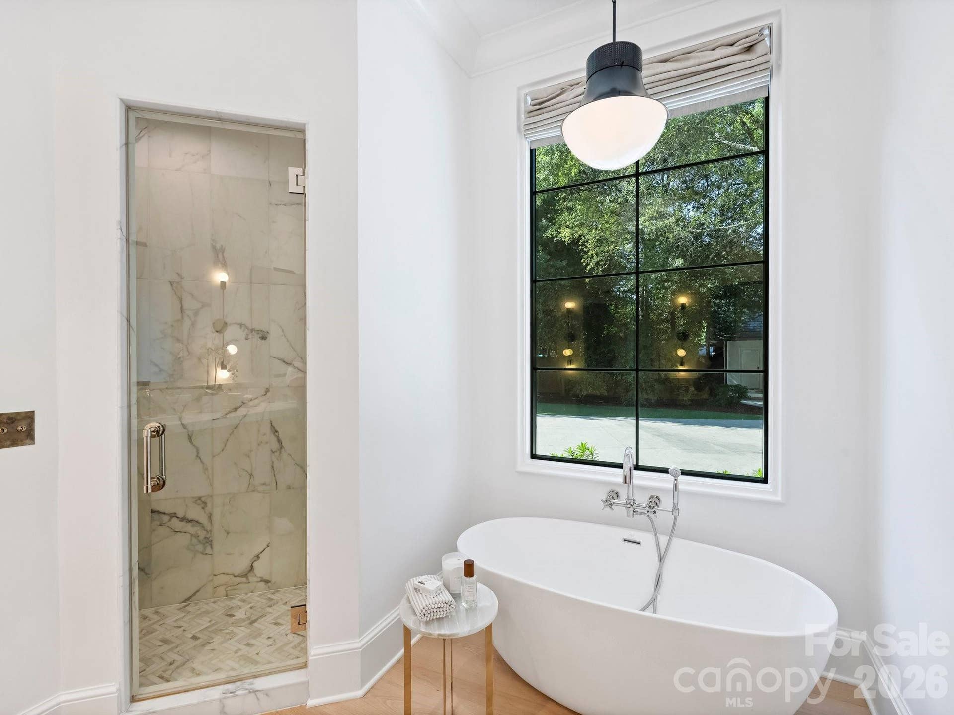 Private Shower and soaking tub