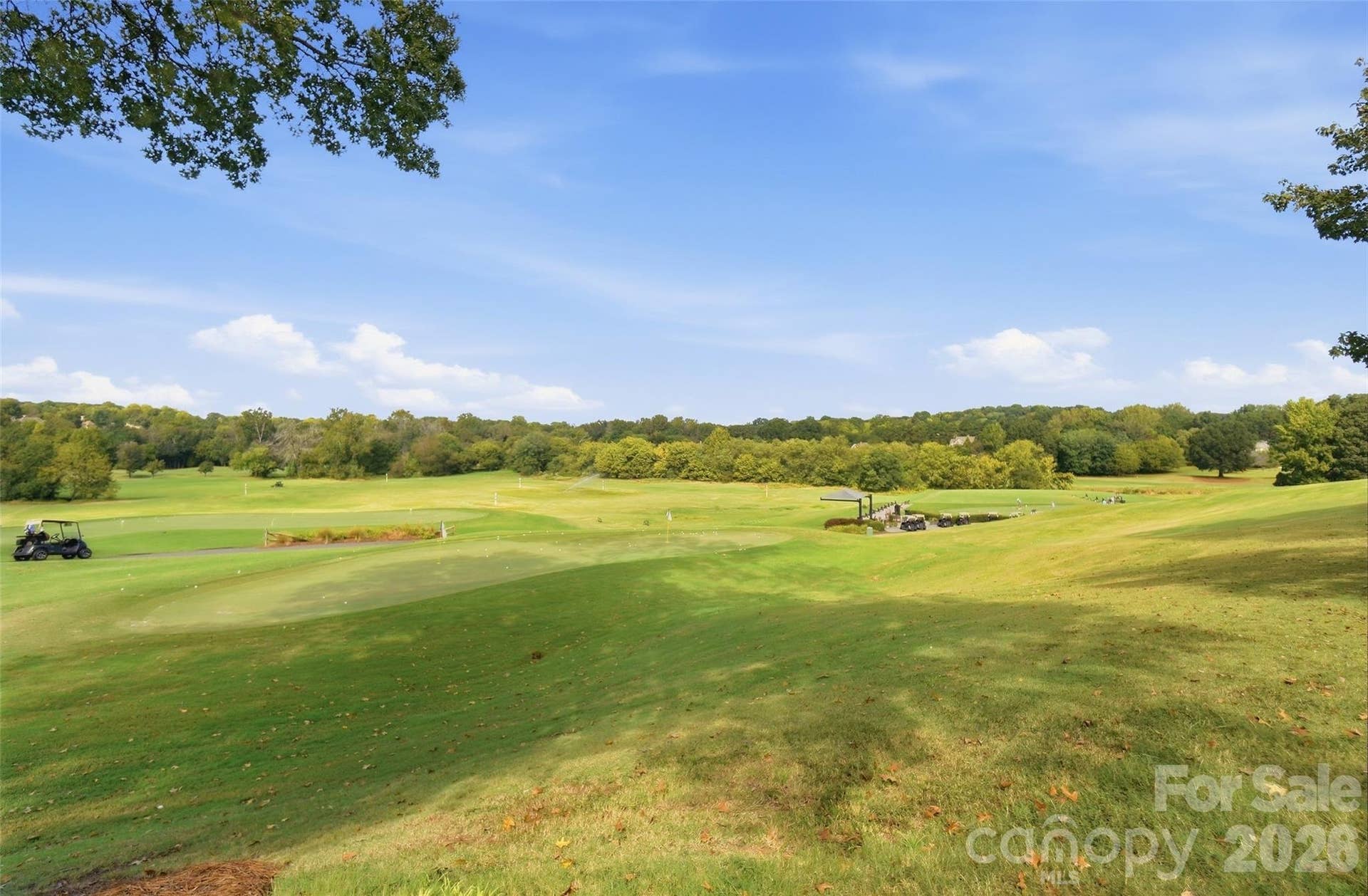 7425 Seton House Lane, Charlotte, NC 28277 Golf course