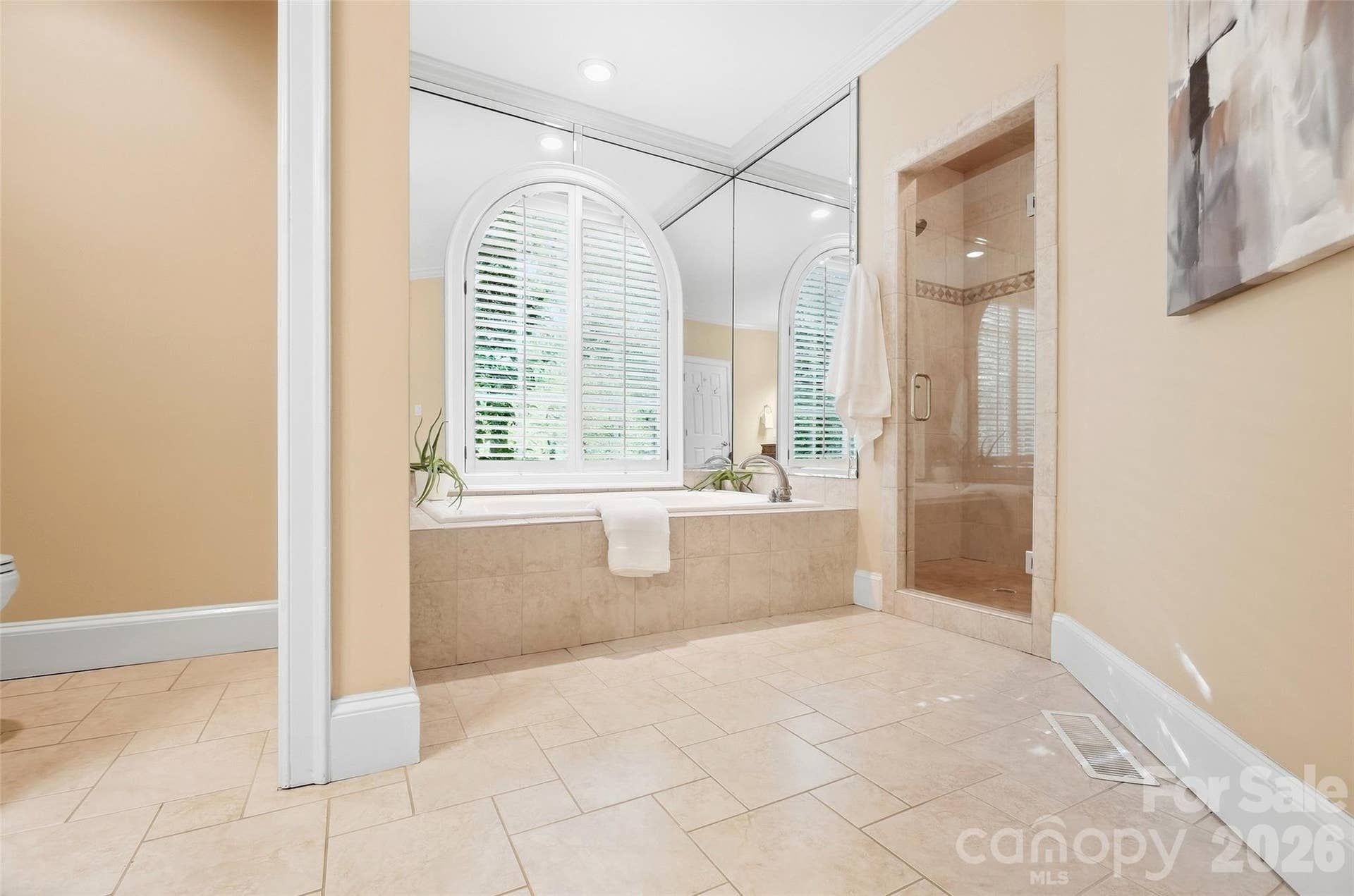 7425 Seton House Lane, Charlotte, NC 28277 Primary bath
