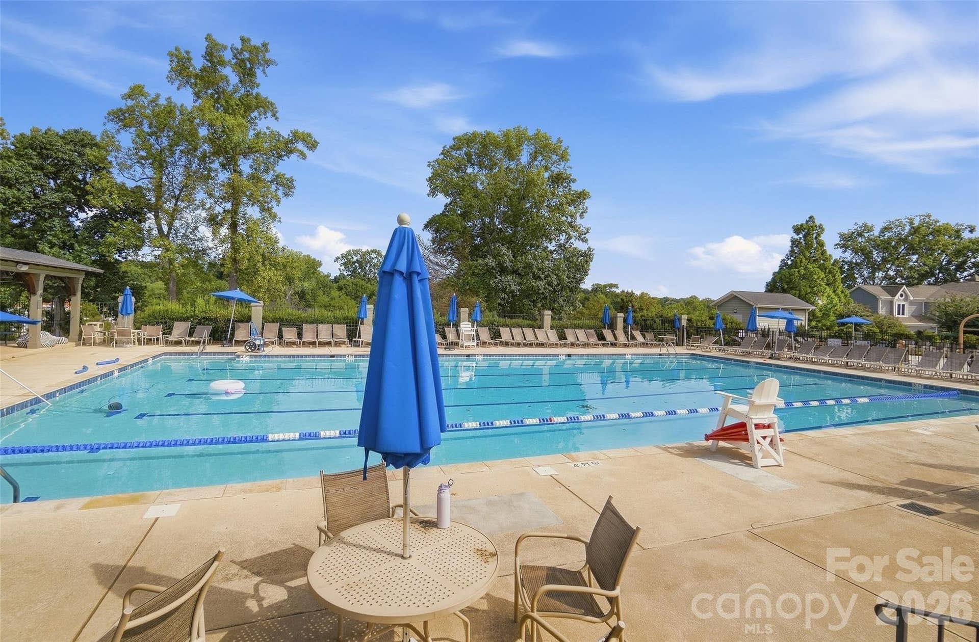 7425 Seton House Lane, Charlotte, NC 28277 Club pool
